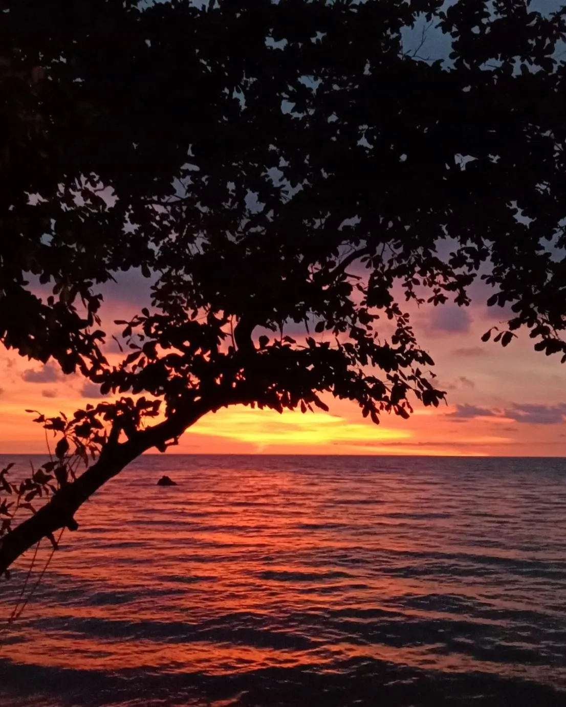 Sunset in Saffron On The Sea Resort