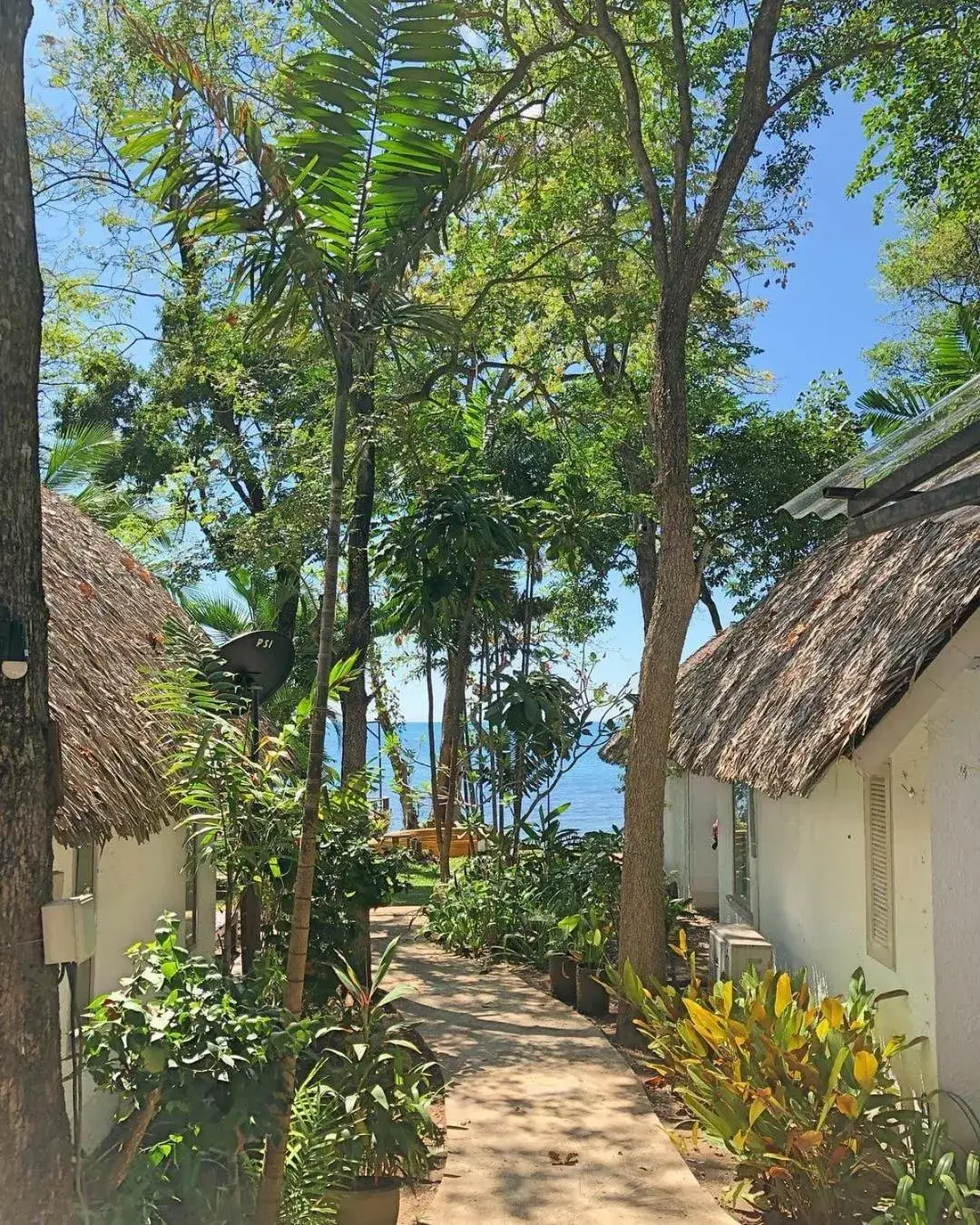 Facade/entrance in Saffron On The Sea Resort Facade/entrance in Saffron On The Sea Resort