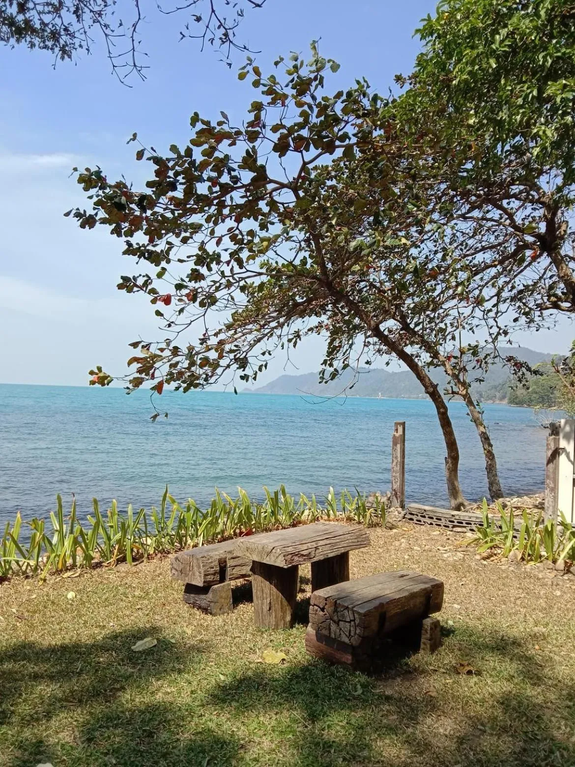 Garden in Saffron On The Sea Resort