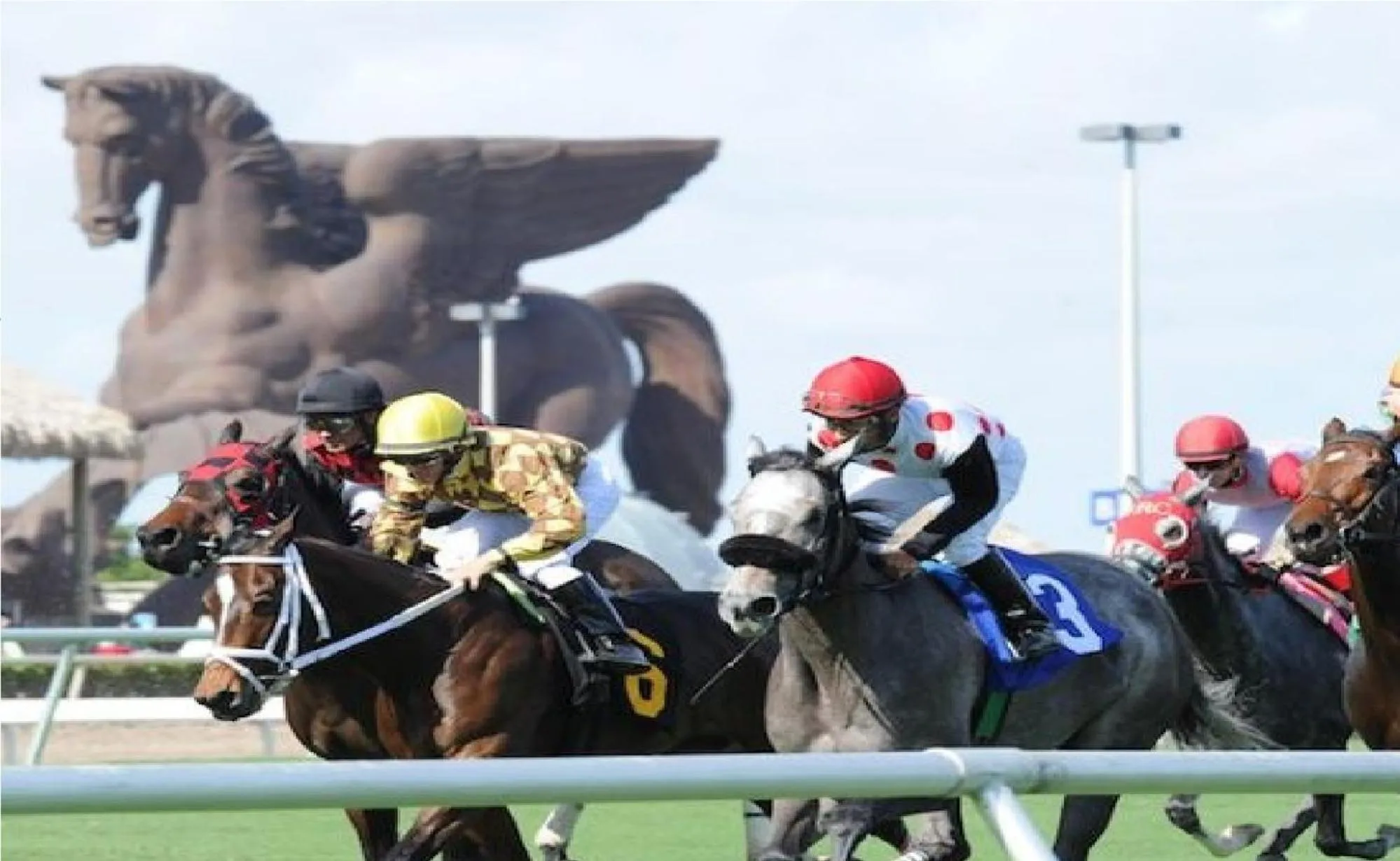 Bposhtels Hollywood Florida