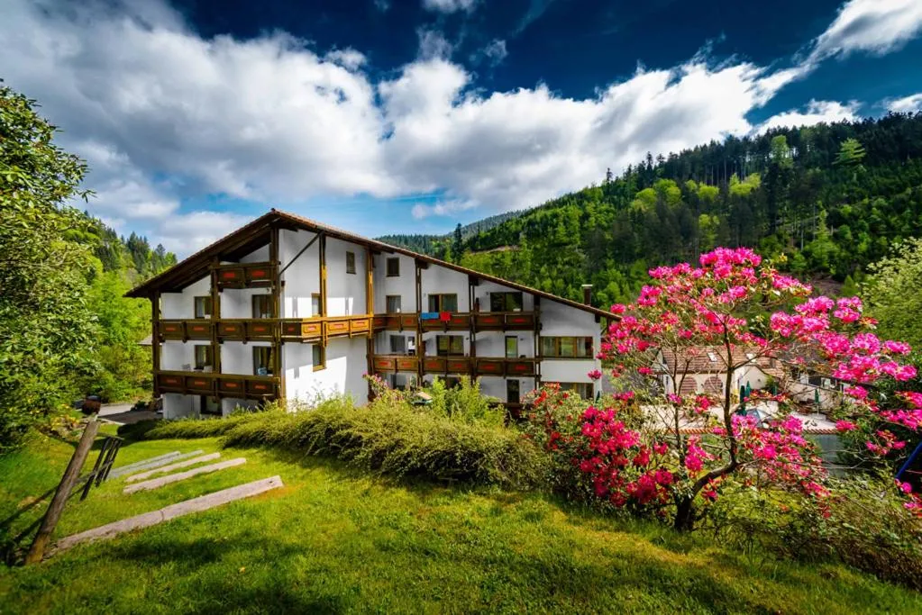 Garden in Holzschuhs Schwarzwaldhotel