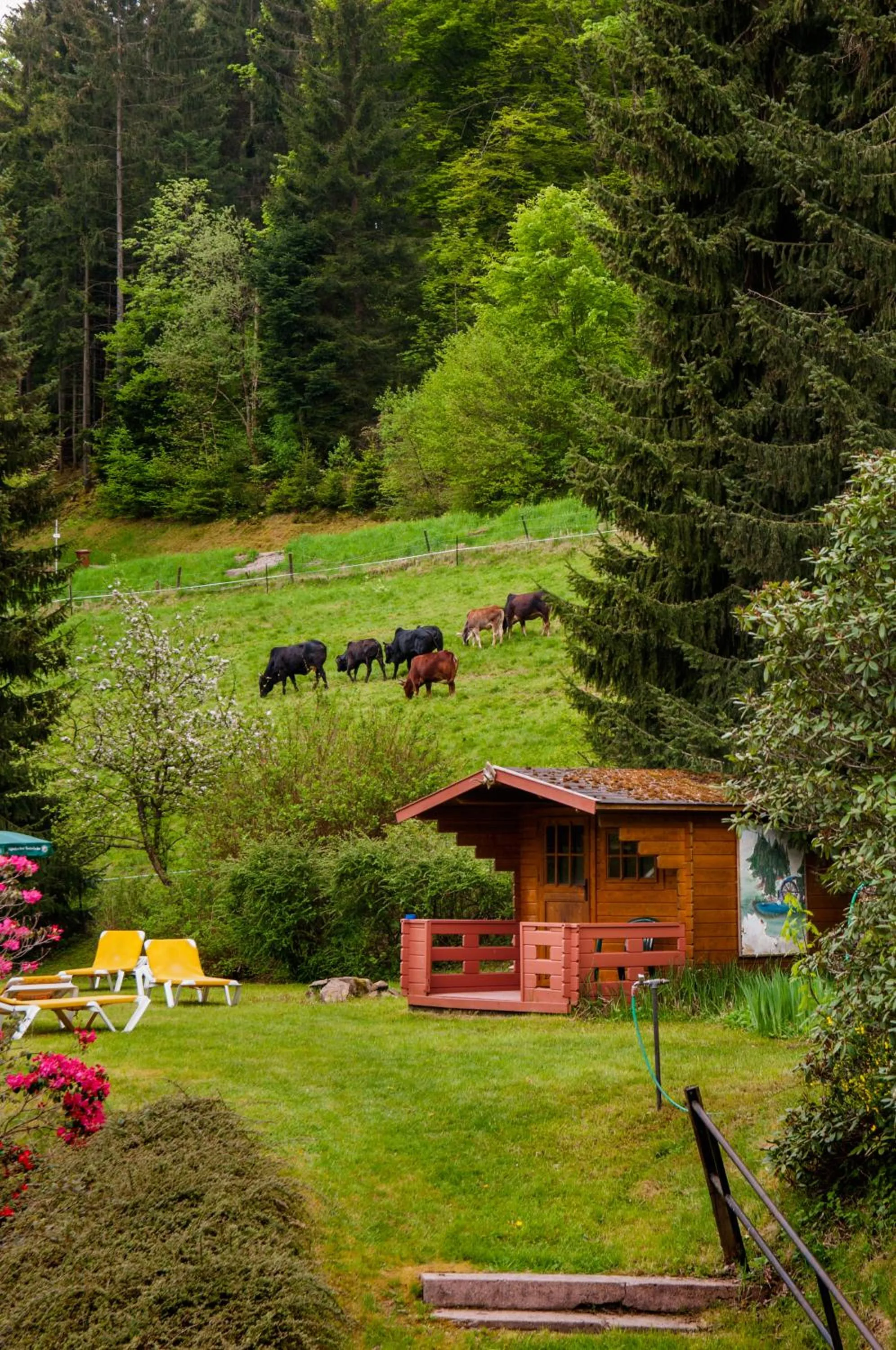 Garden in Holzschuhs Schwarzwaldhotel