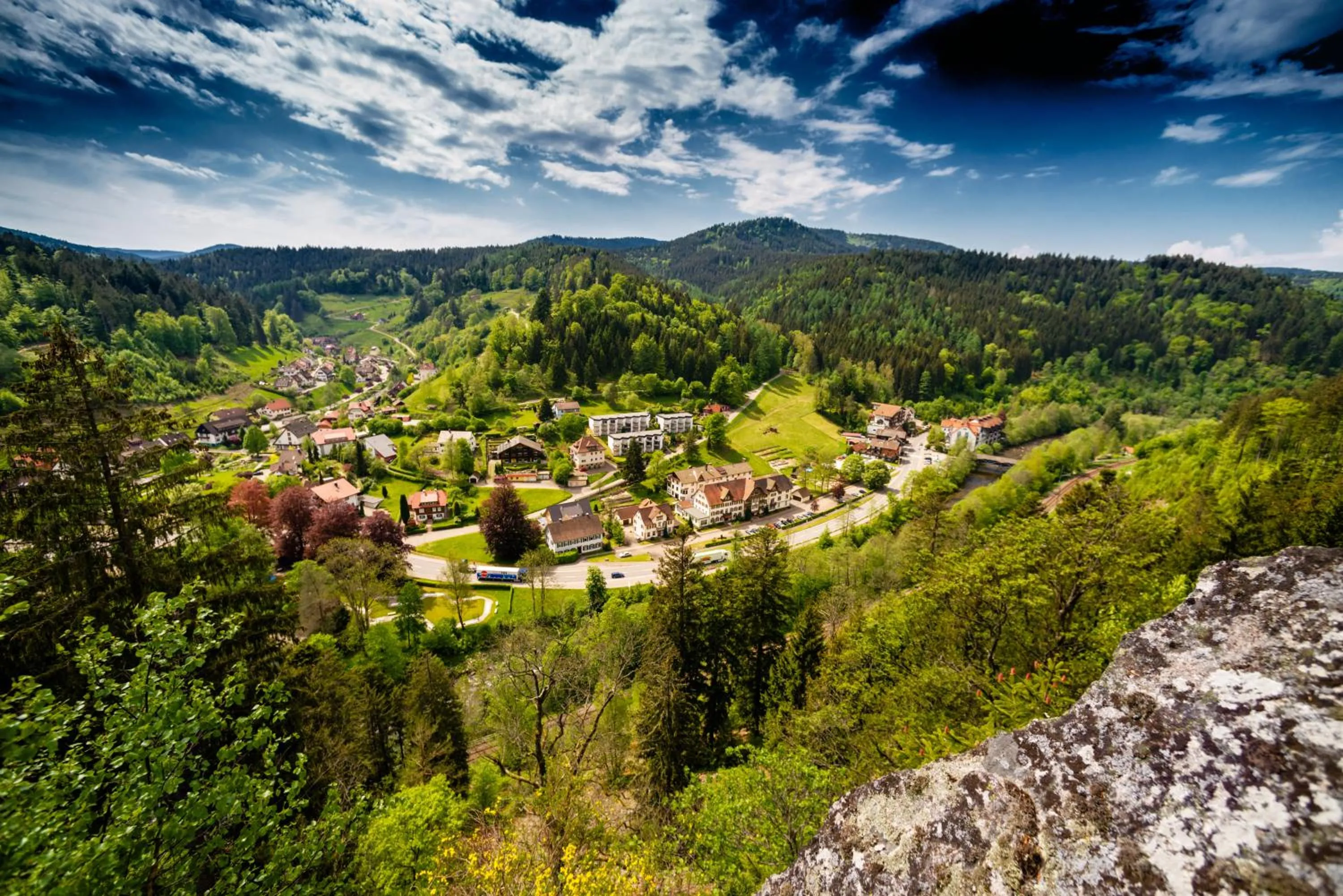 Natural landscape in Holzschuhs Schwarzwaldhotel