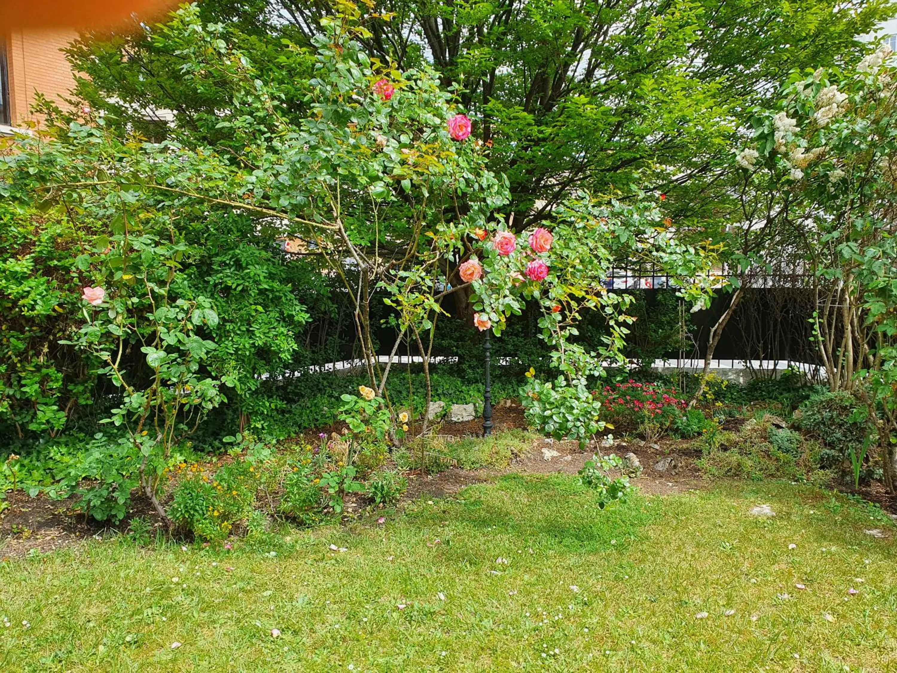 Garden in La Romantique