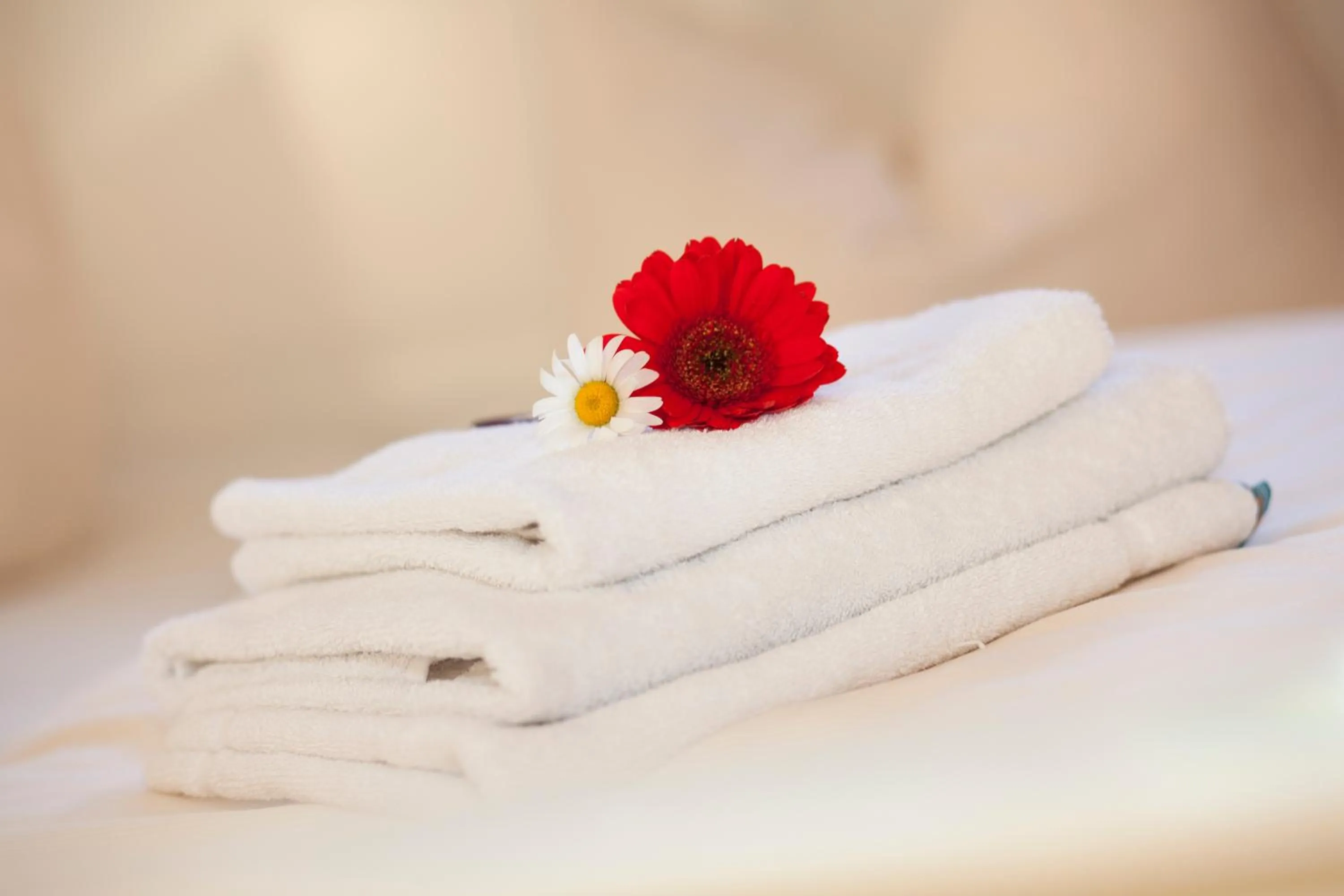 Decorative detail, Bed in Hotelpension zum Gockl