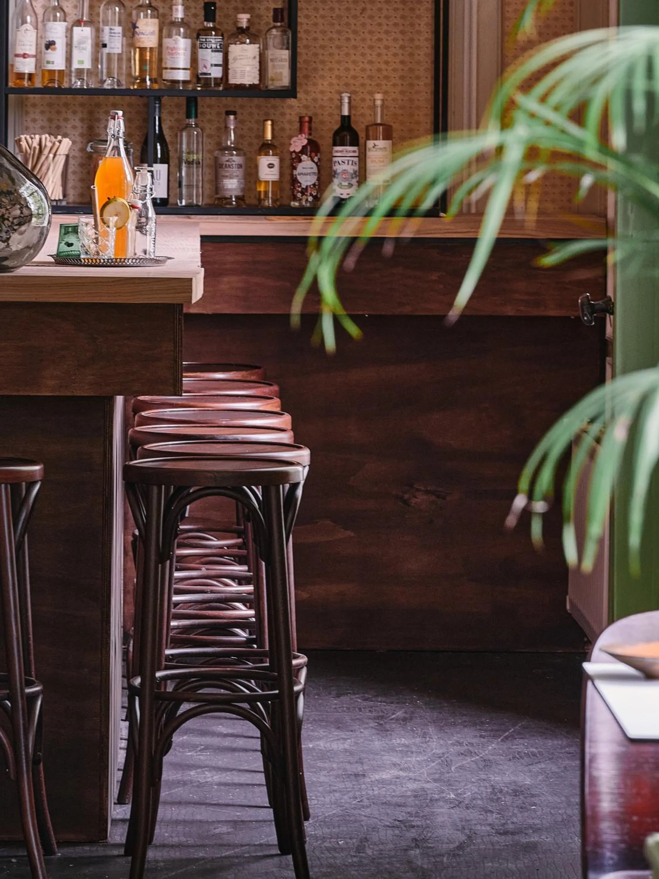 Nightclub / DJ in Eco Hotel Plantage Rococo