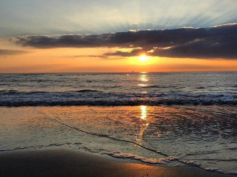 Beach in Eco Hotel Plantage Rococo