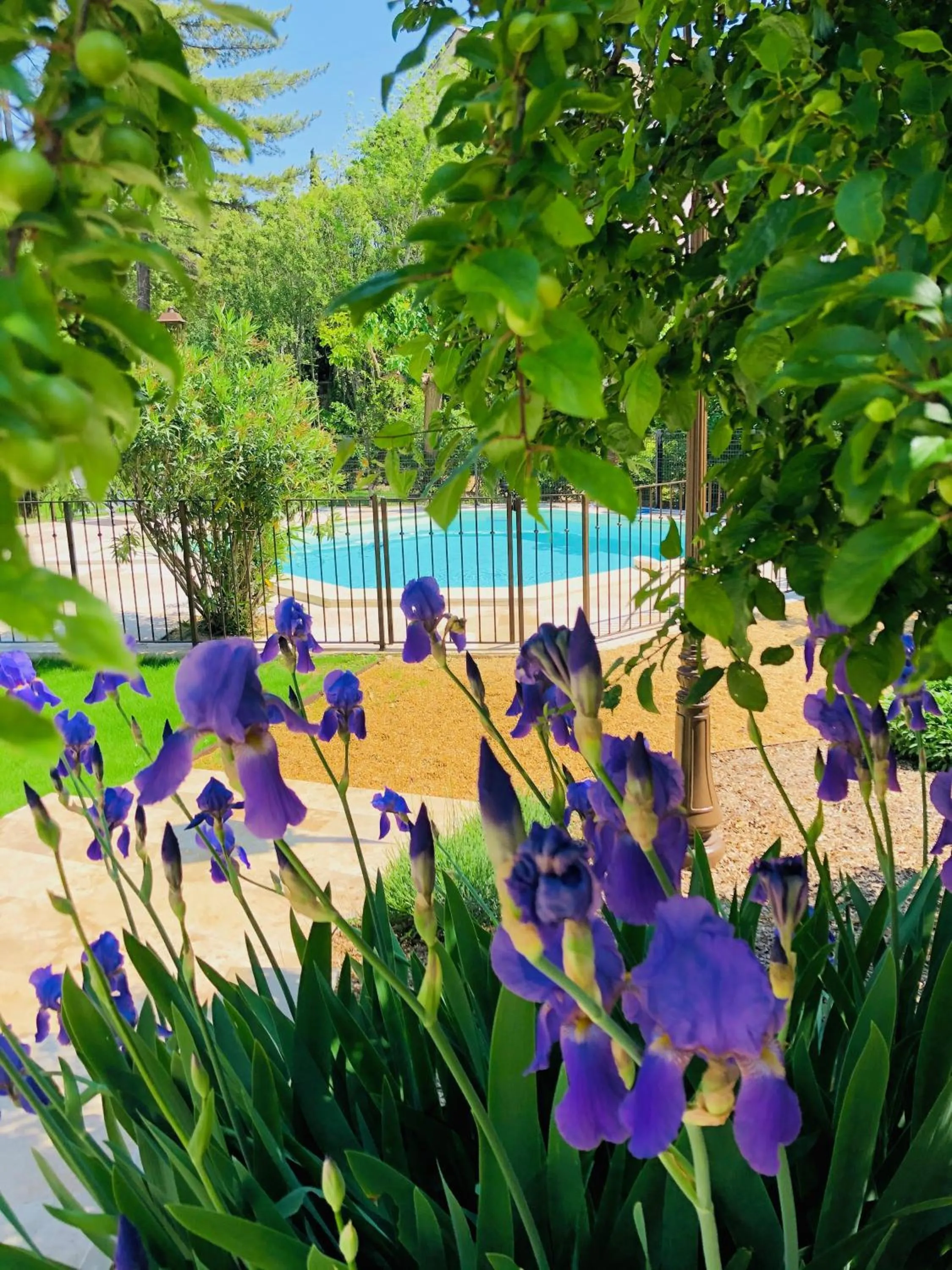 Pool view in Villa Agrippa