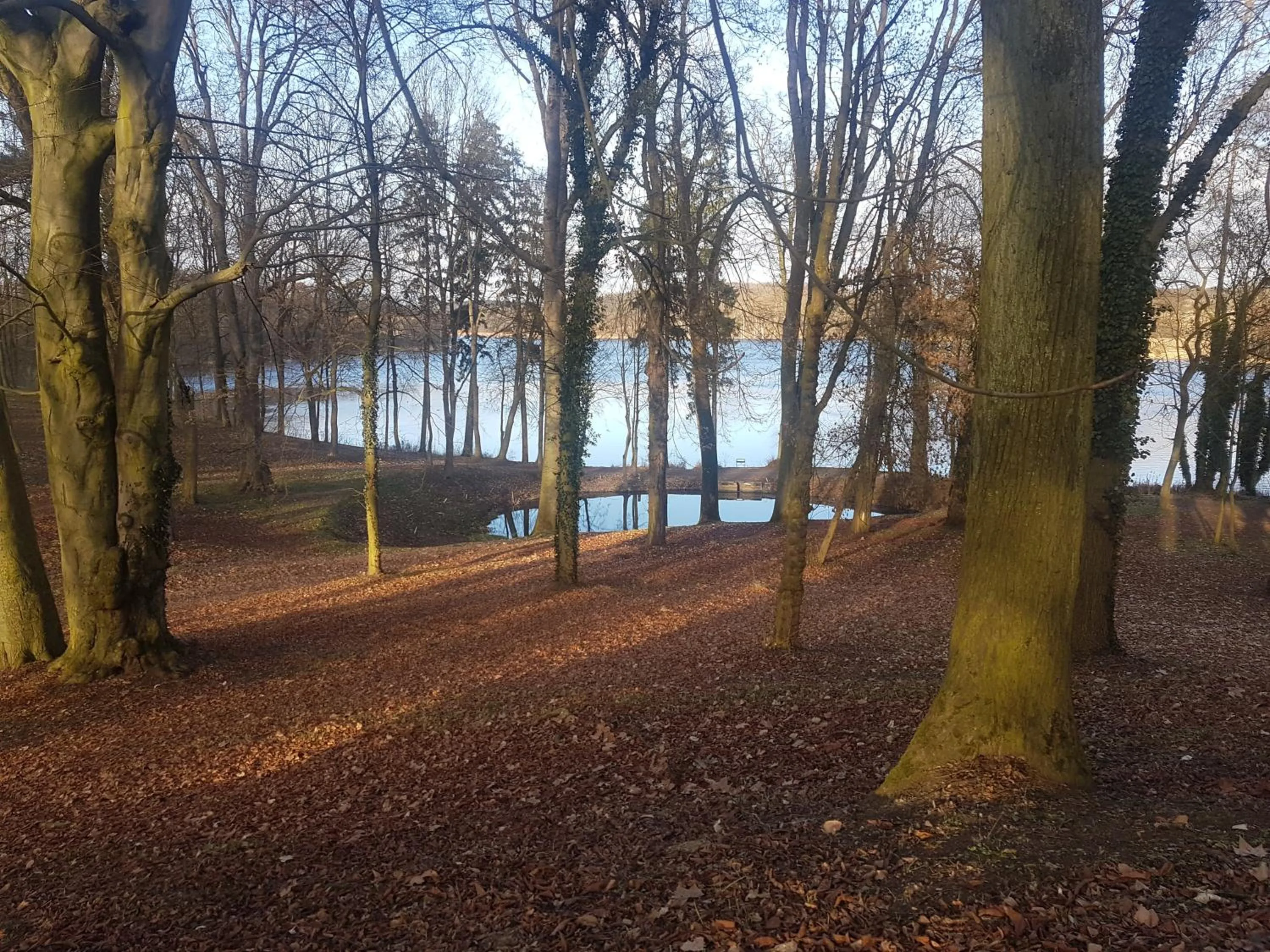 Natural landscape in Pałac Kwilecki -AGROTURYSTYKA PREMIUM & SPA