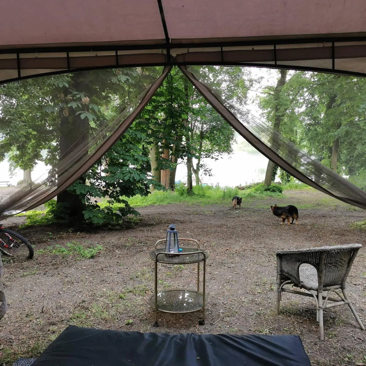 Pałac Kwilecki -AGROTURYSTYKA PREMIUM & SPA