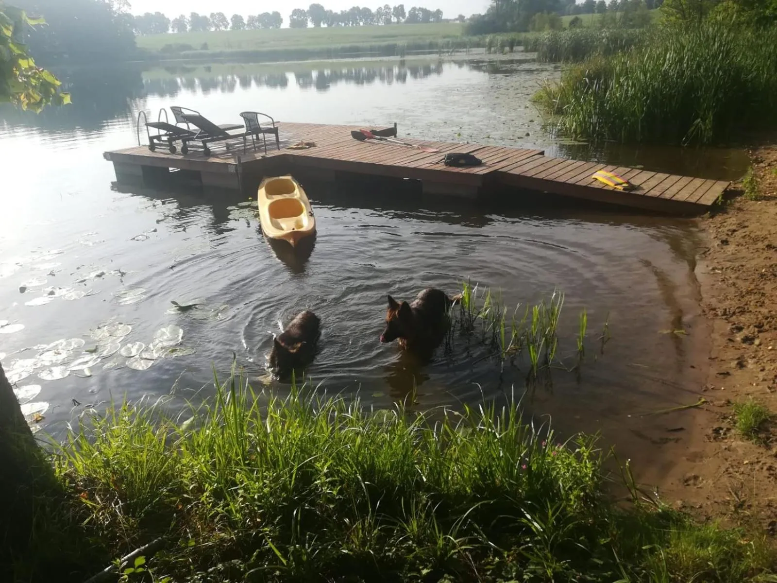 Pałac Kwilecki -AGROTURYSTYKA PREMIUM & SPA