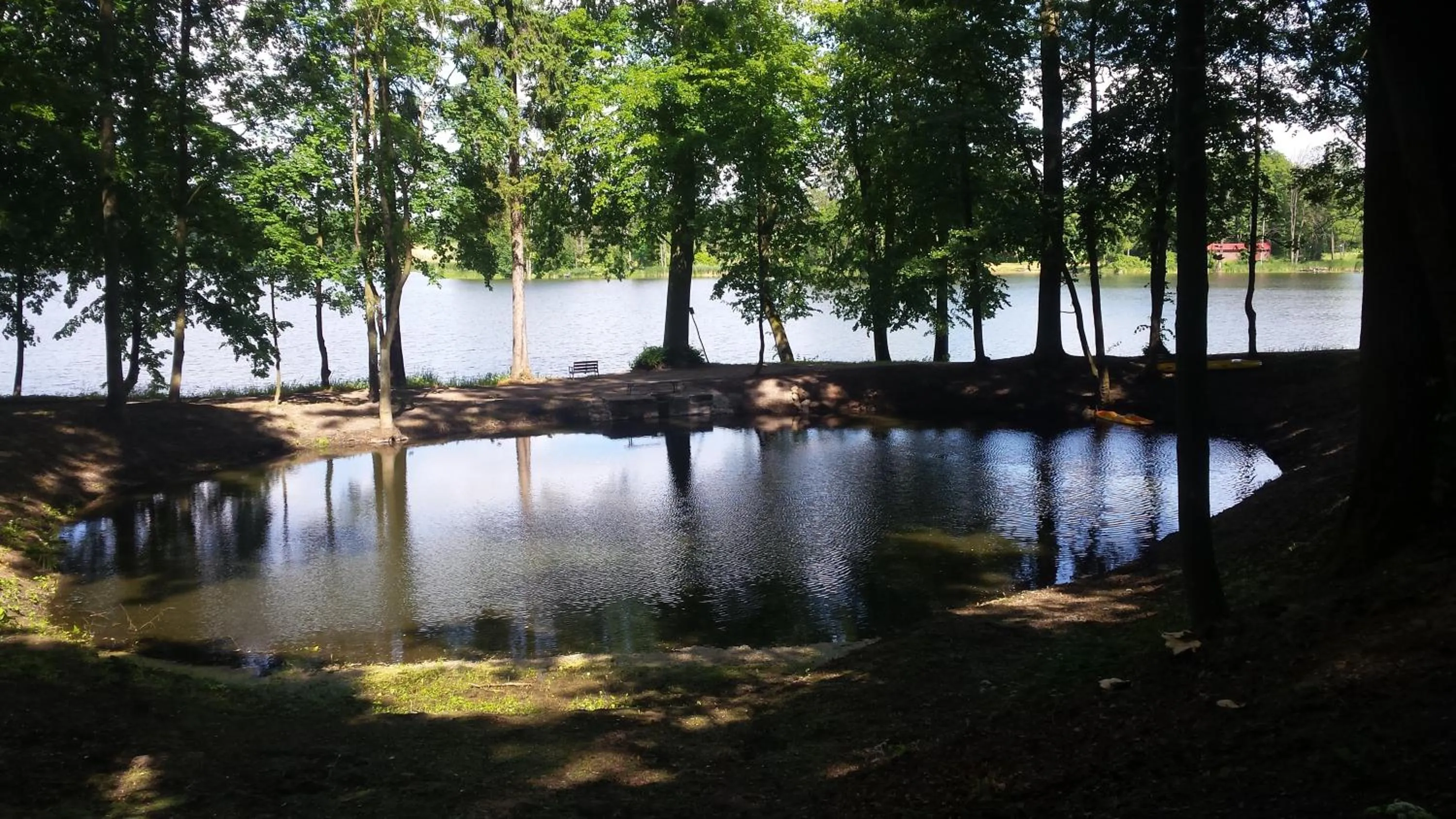 Natural landscape in Pałac Kwilecki -AGROTURYSTYKA PREMIUM & SPA