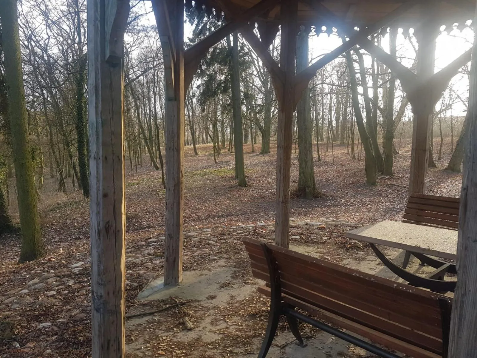 Pałac Kwilecki -AGROTURYSTYKA PREMIUM & SPA