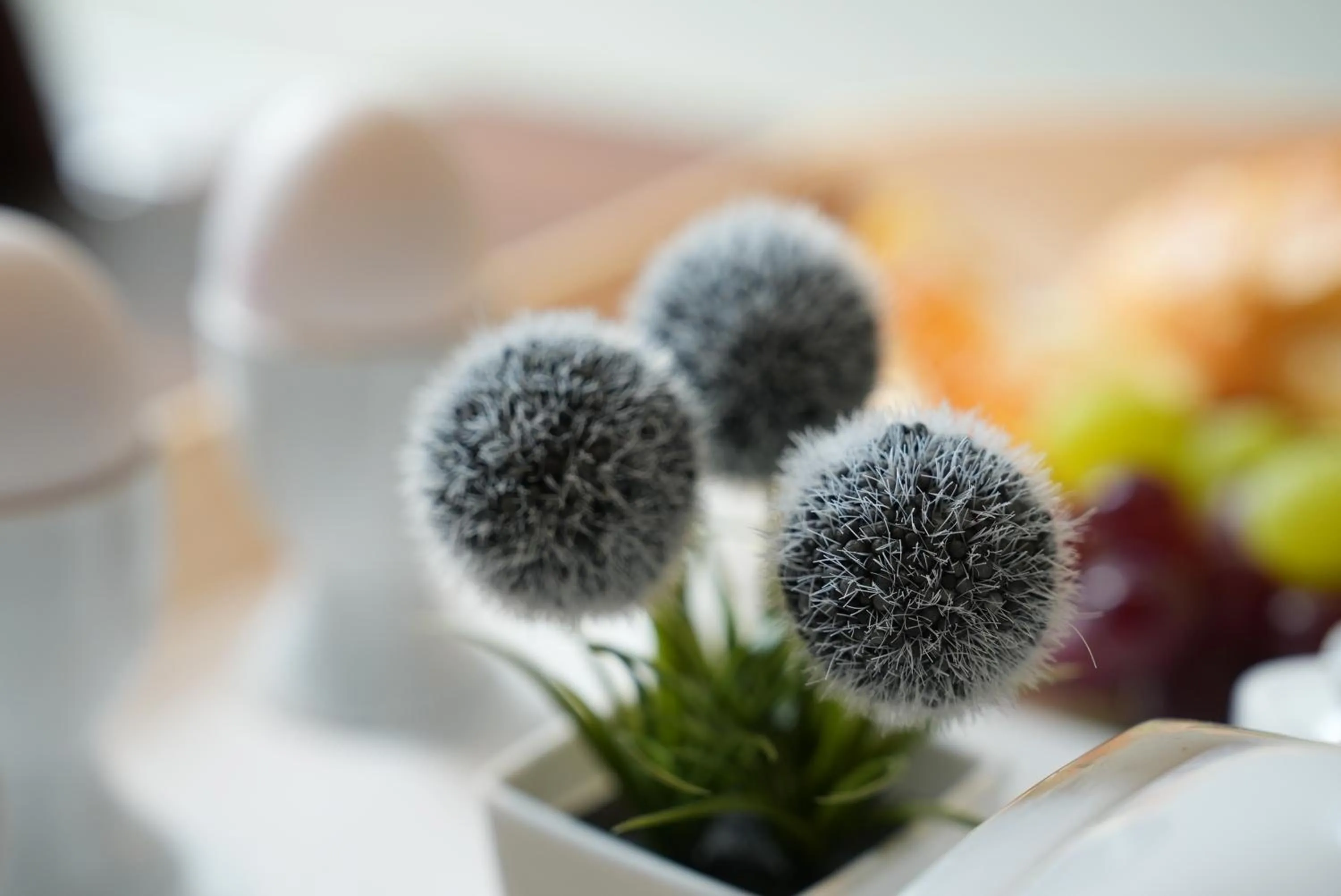 Food and drinks in Hotel Attaché an der Messe