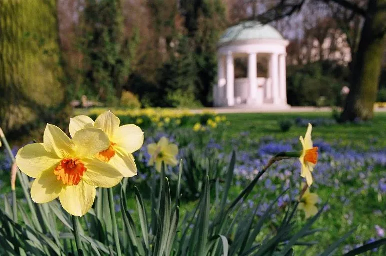 Nearby landmark in Kurvilla Fürstin Pauline