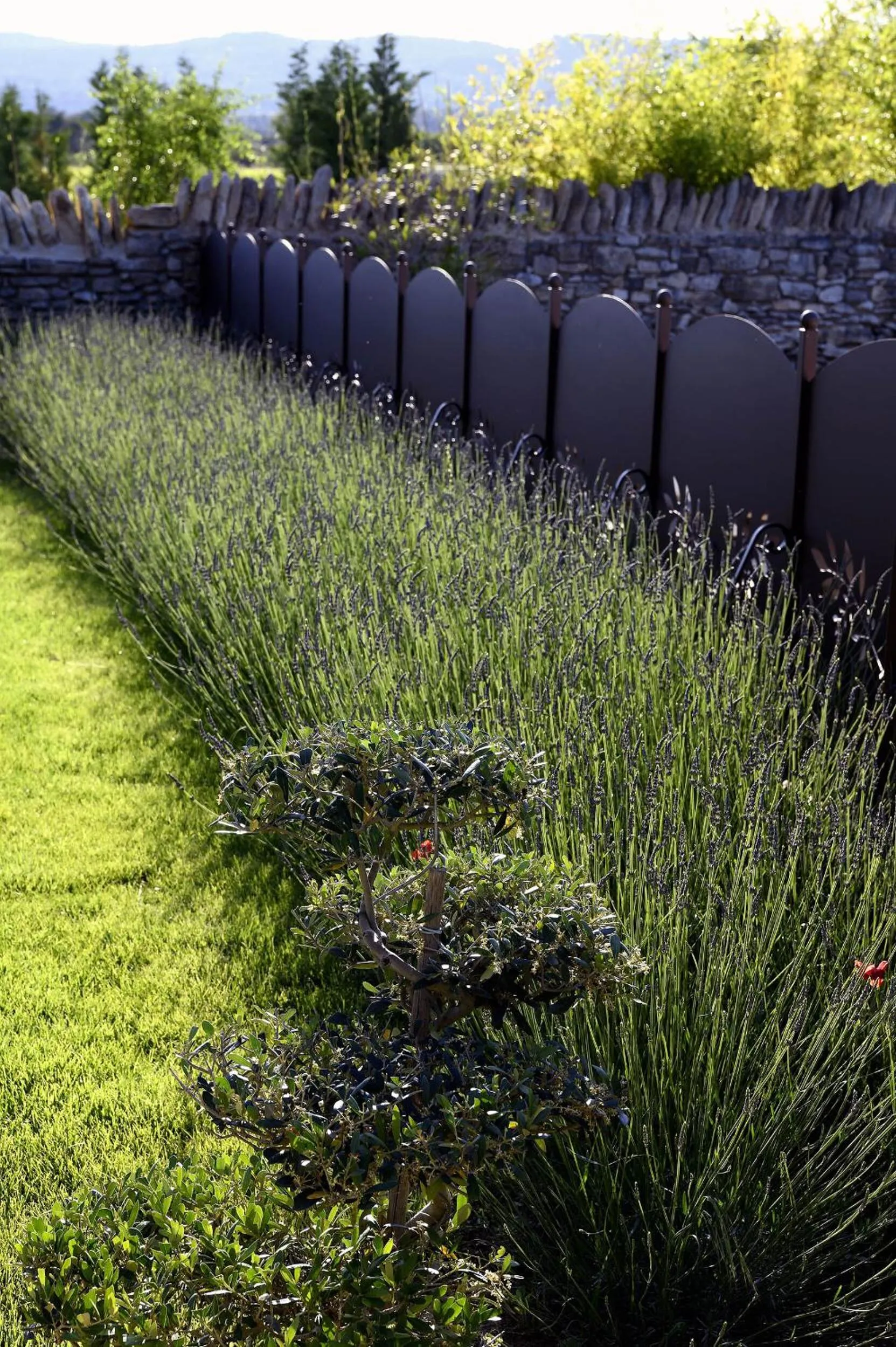 Garden in Bastide des Demoiselles