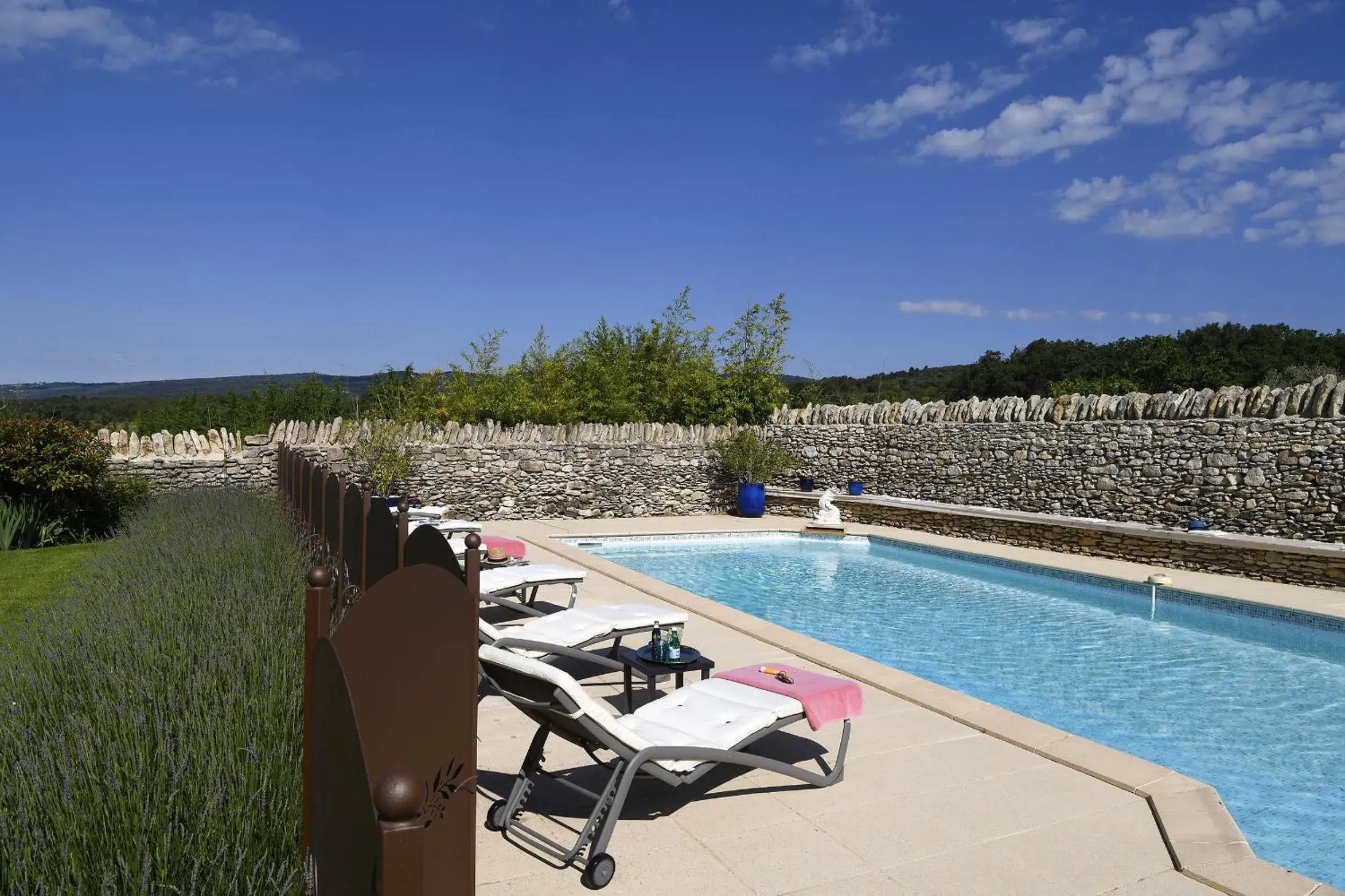 Pool view in Bastide des Demoiselles Pool view in Bastide des Demoiselles