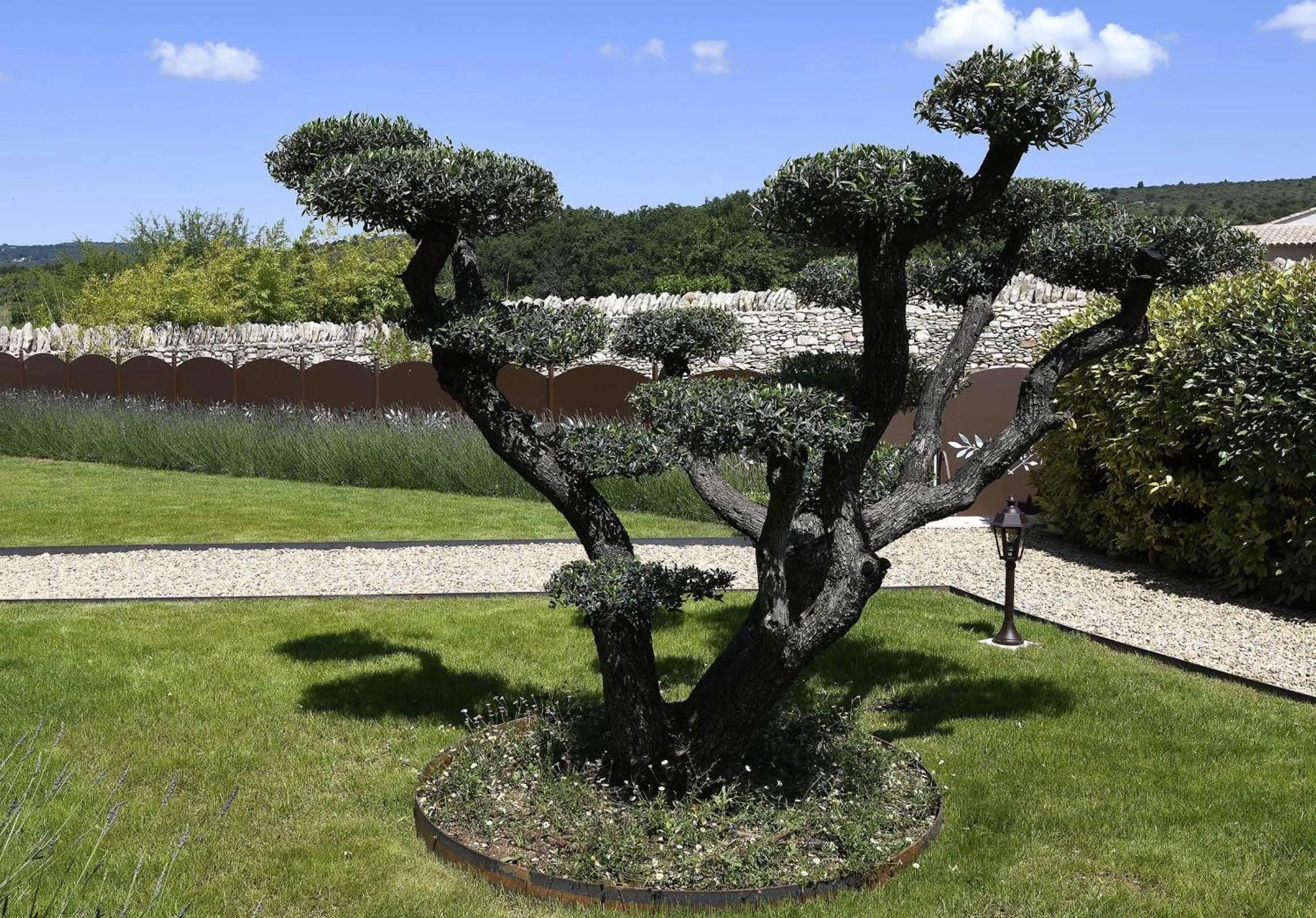 Garden in Bastide des Demoiselles