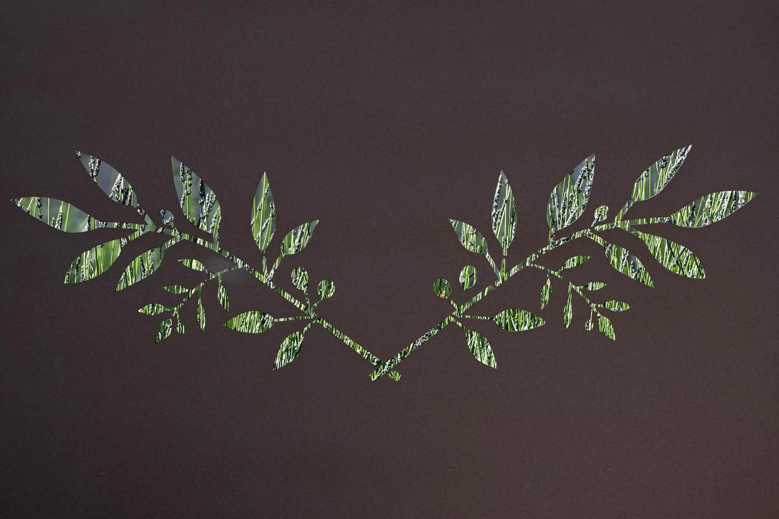 Other in Bastide des Demoiselles