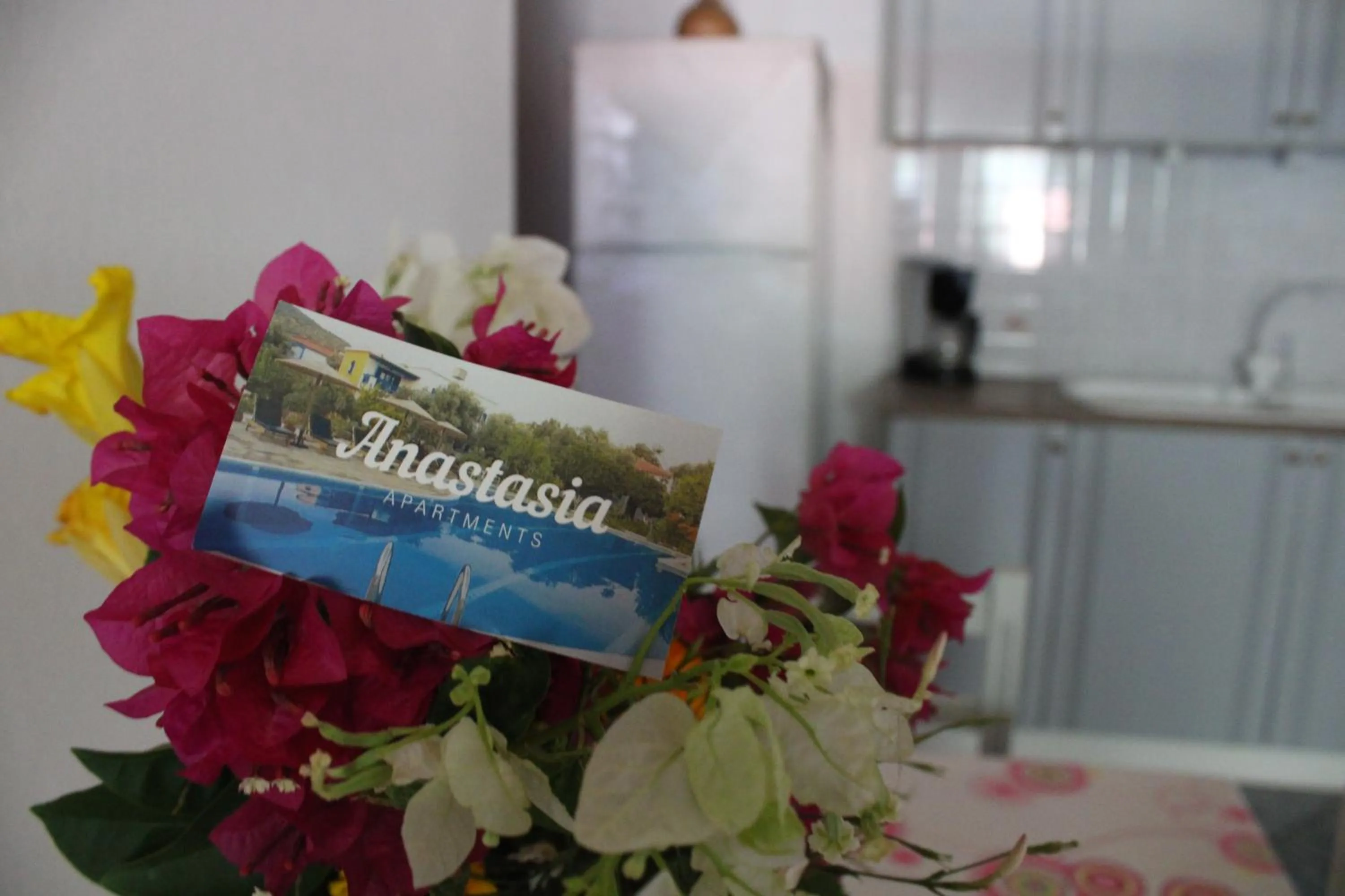 Anastasia Apartments