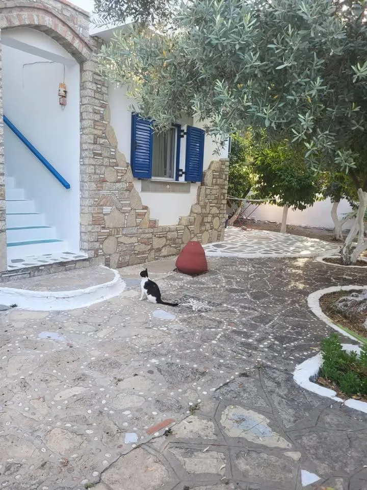 Anastasia Apartments