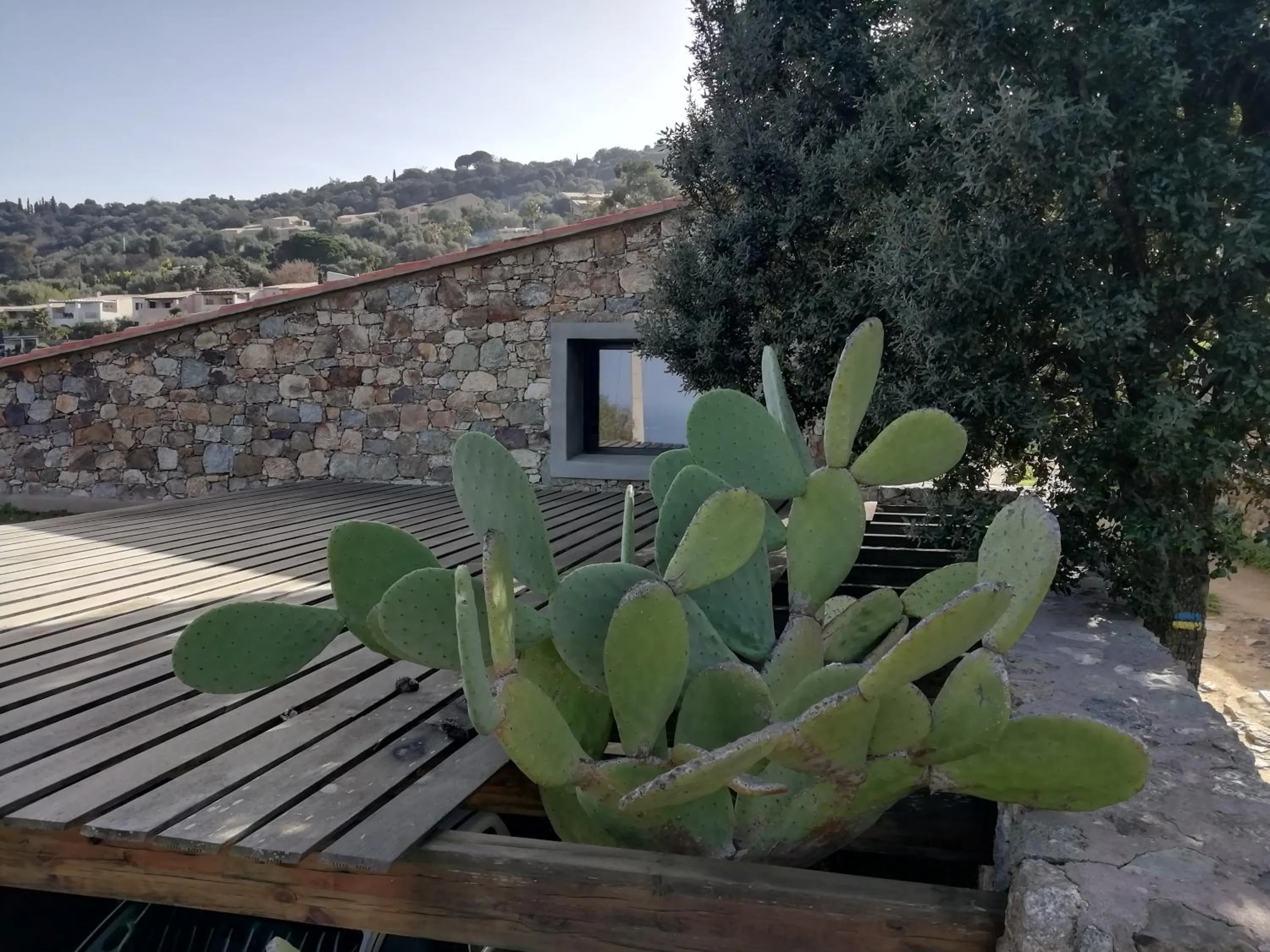 Clos Olivella
