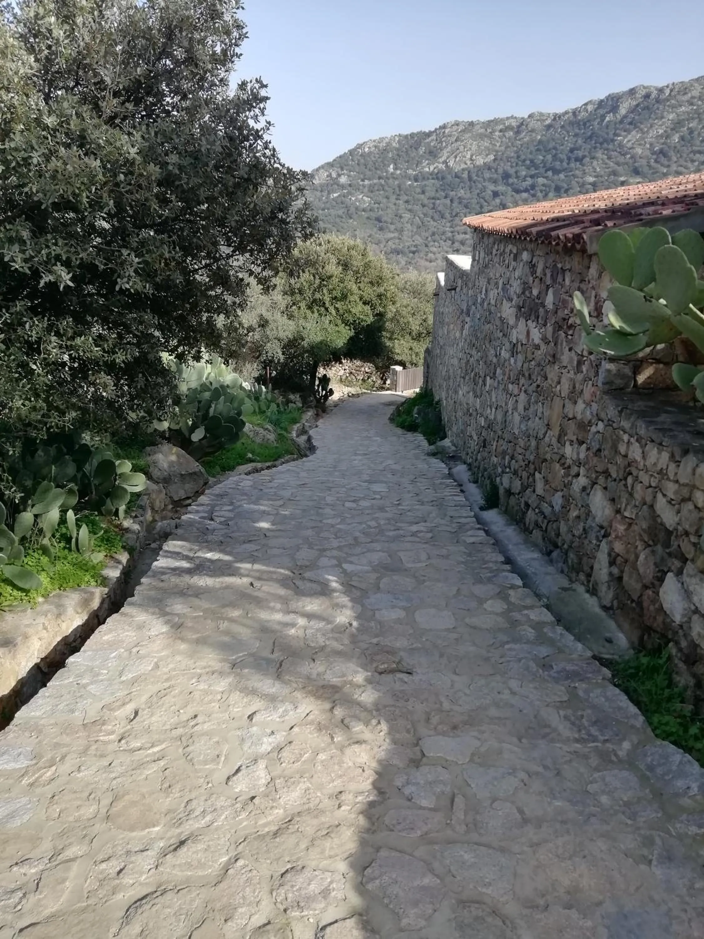 Clos Olivella
