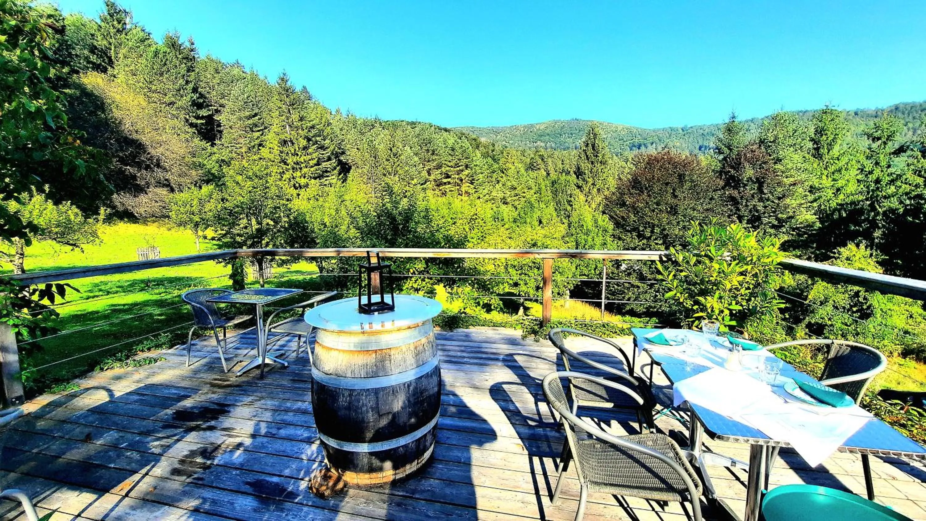 Natural landscape in LANDSITZ OBERHOF petit hôtel