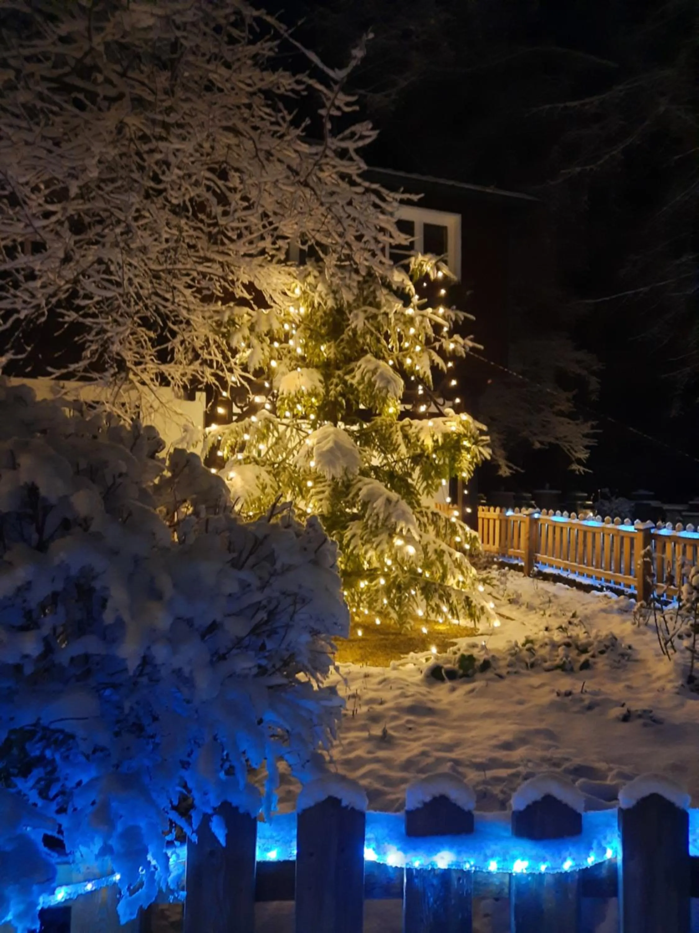 Winter in LANDSITZ OBERHOF petit hôtel