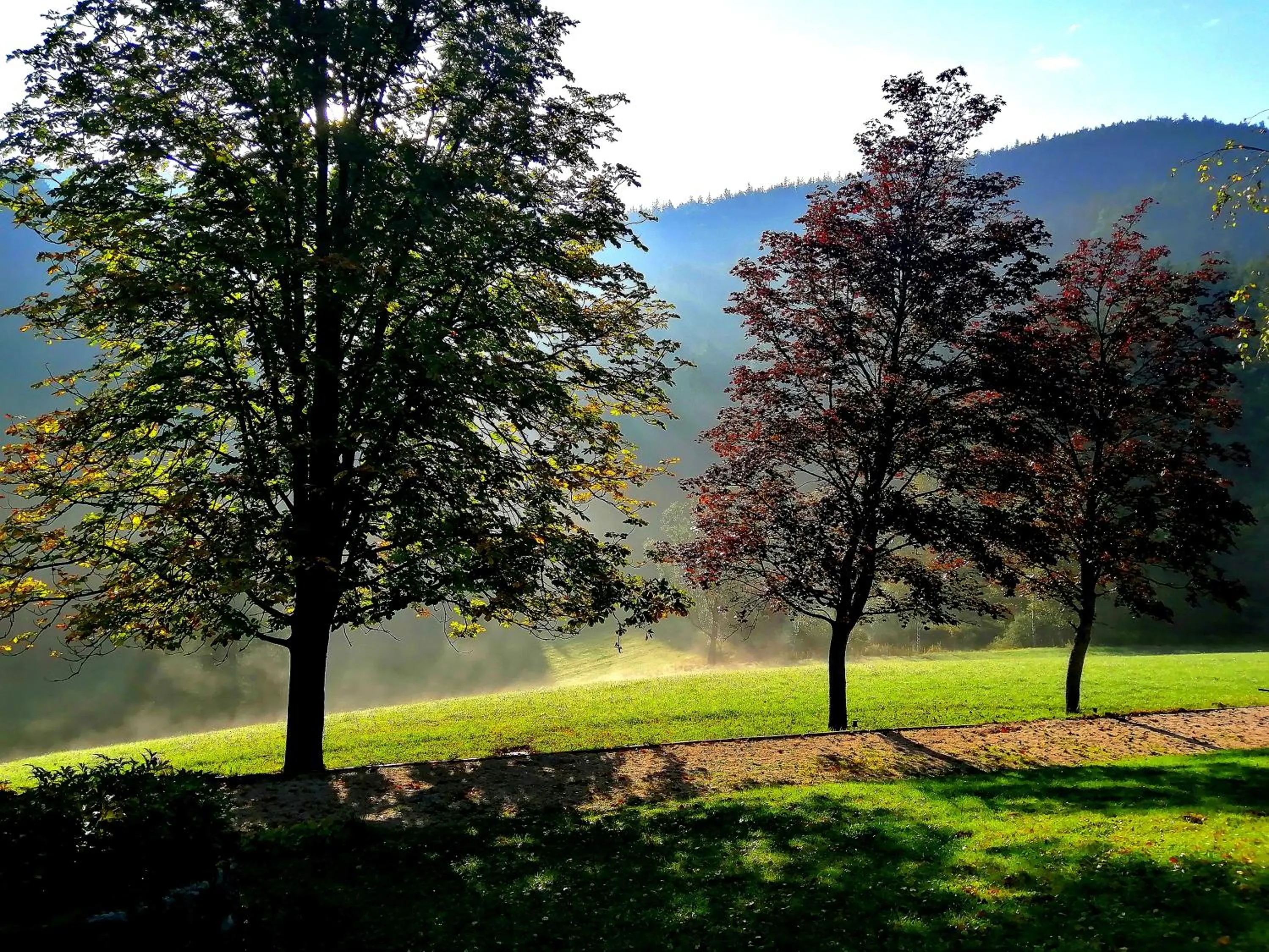 Natural landscape in LANDSITZ OBERHOF petit hôtel