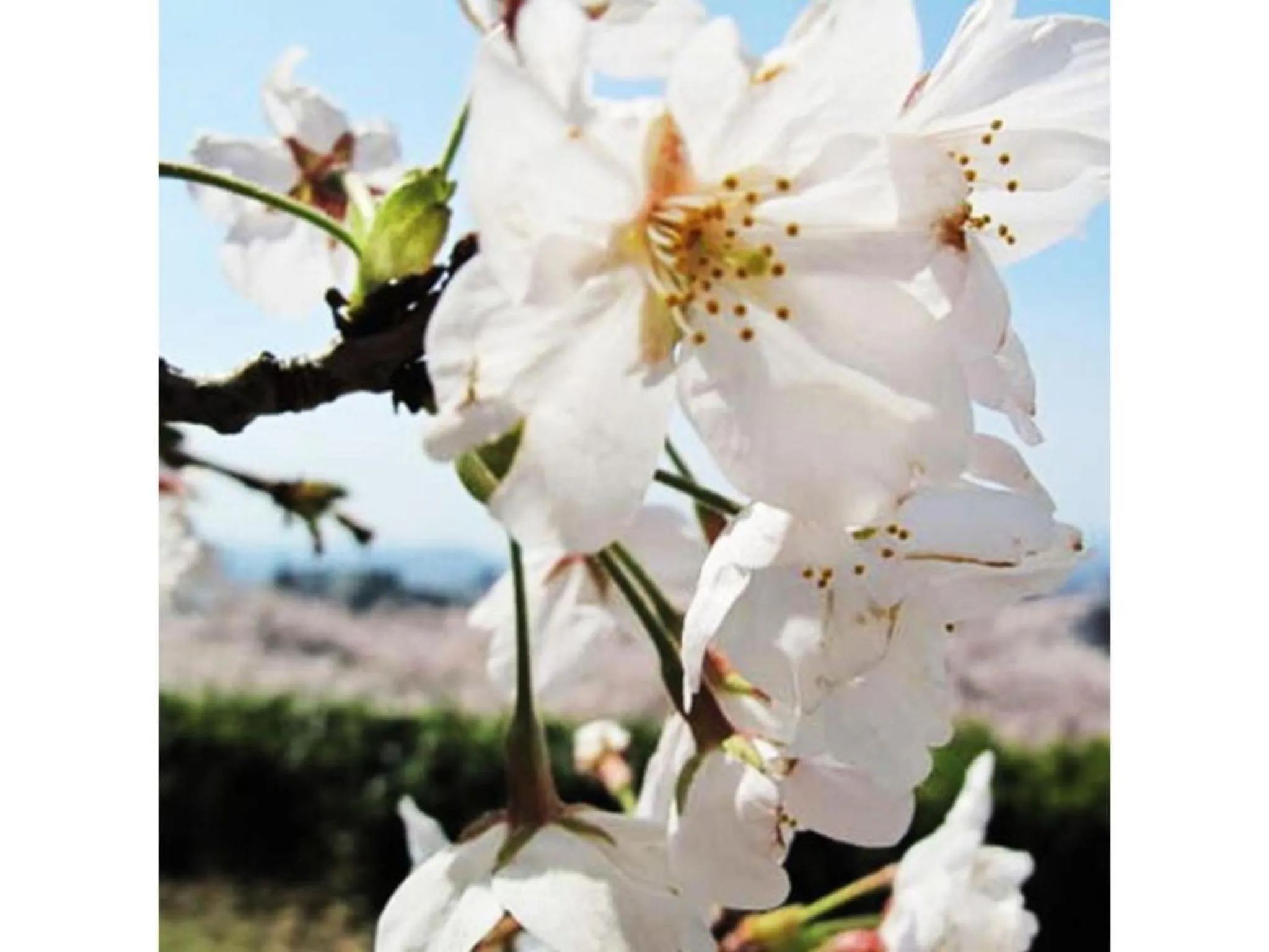 Tottori City Hotel / Vacation STAY 81349