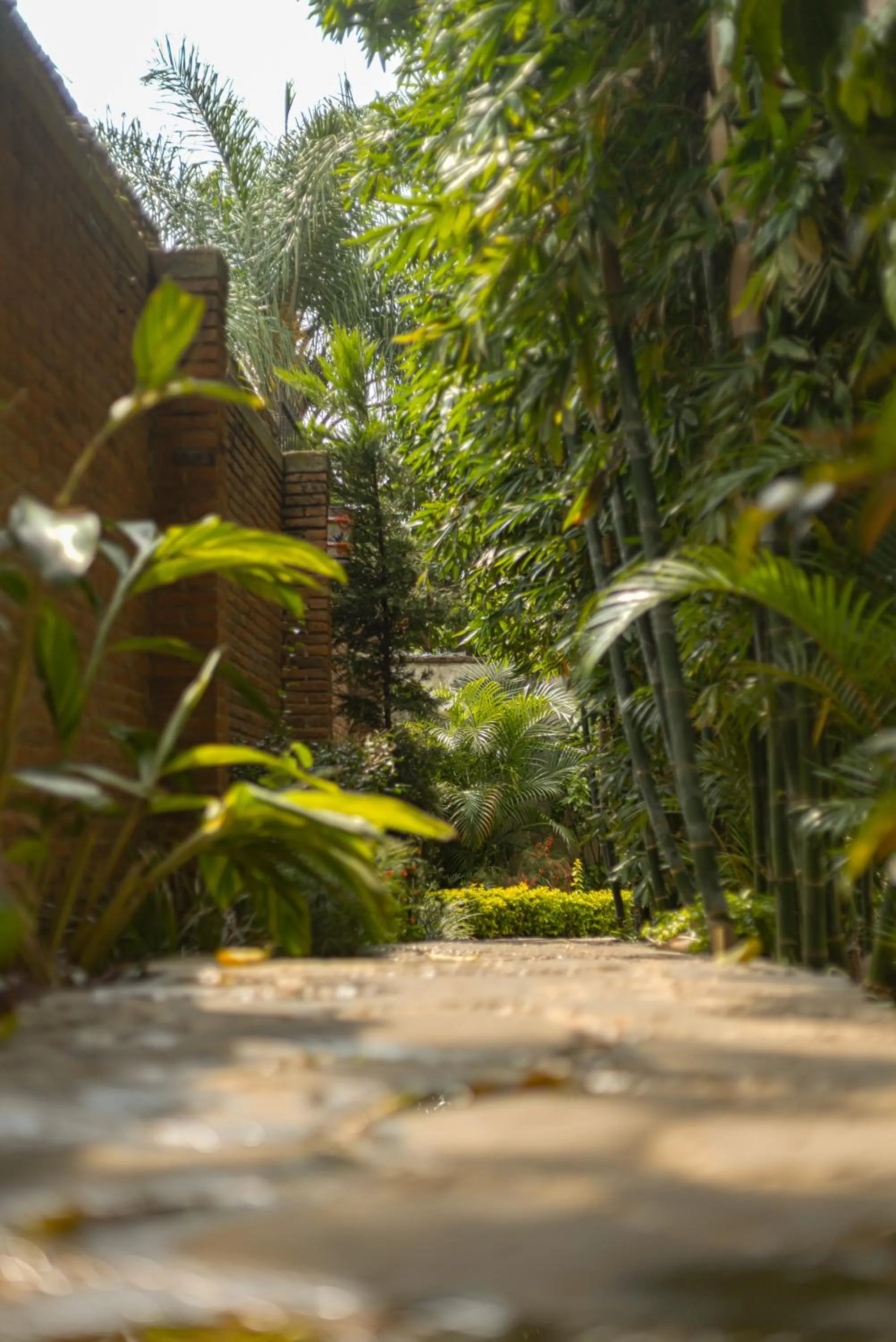 Day in Hotel Boutique Casa Copal