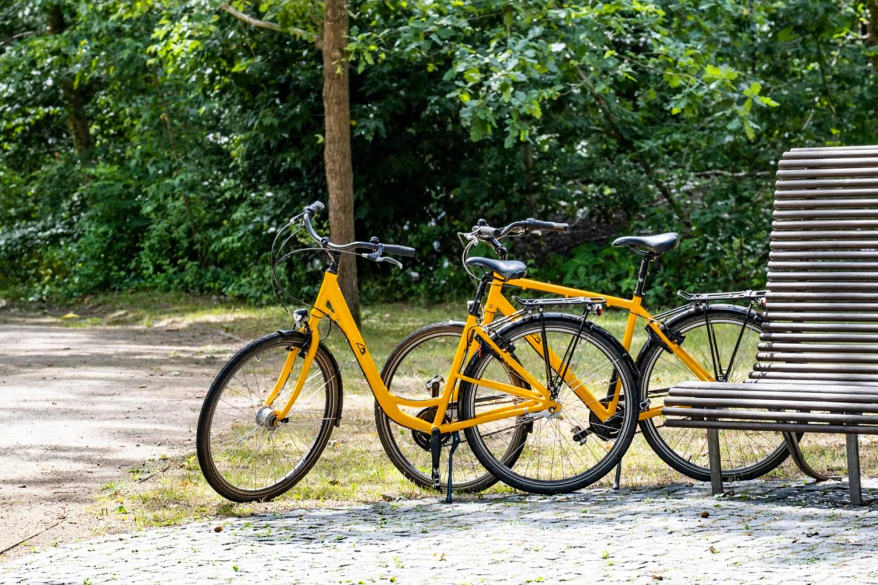 Cycling in Ringhotel Schorfheide I Waldresort Werbellinsee