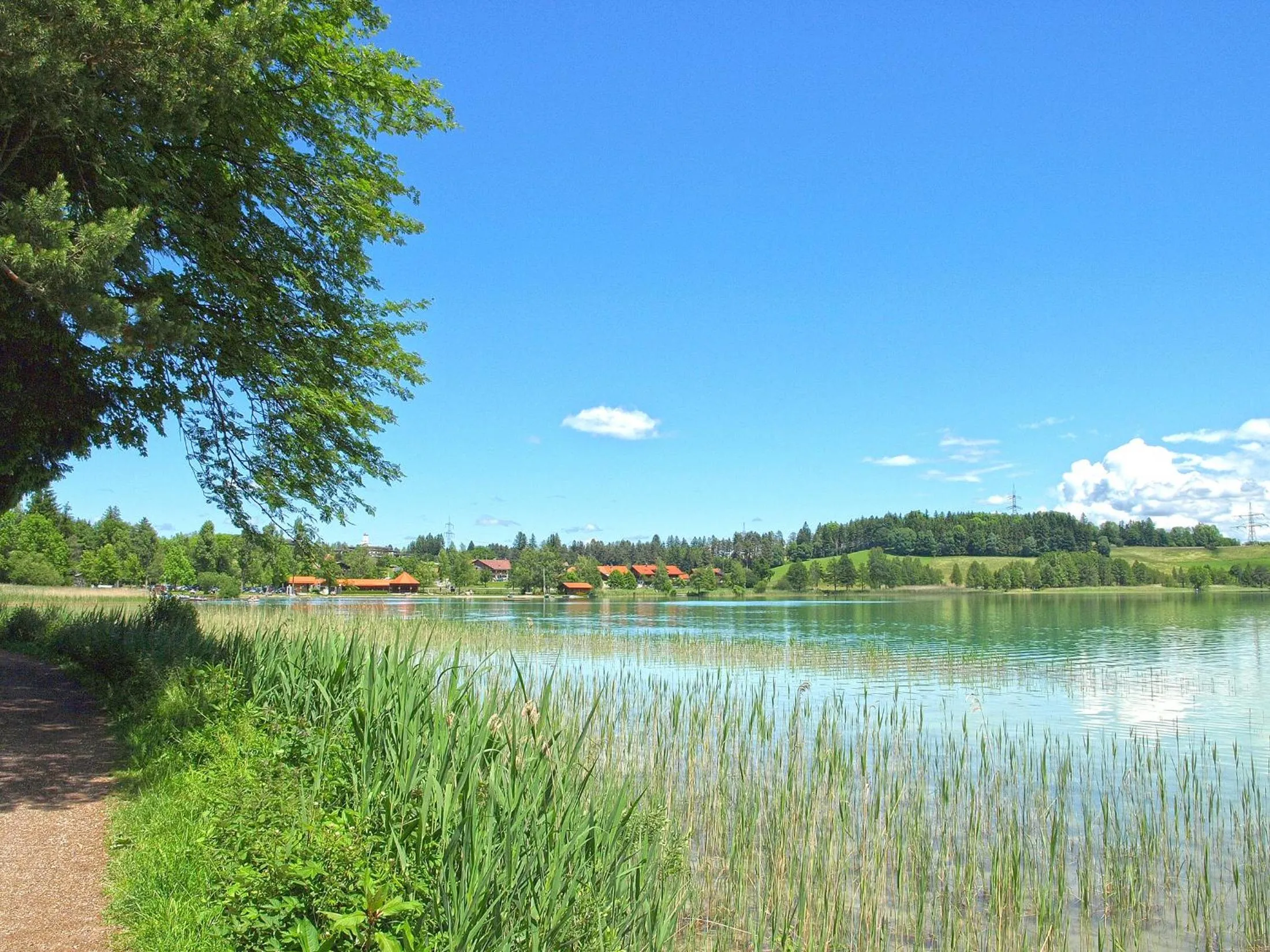 Hiking in Appartement-Hotel Seespitz