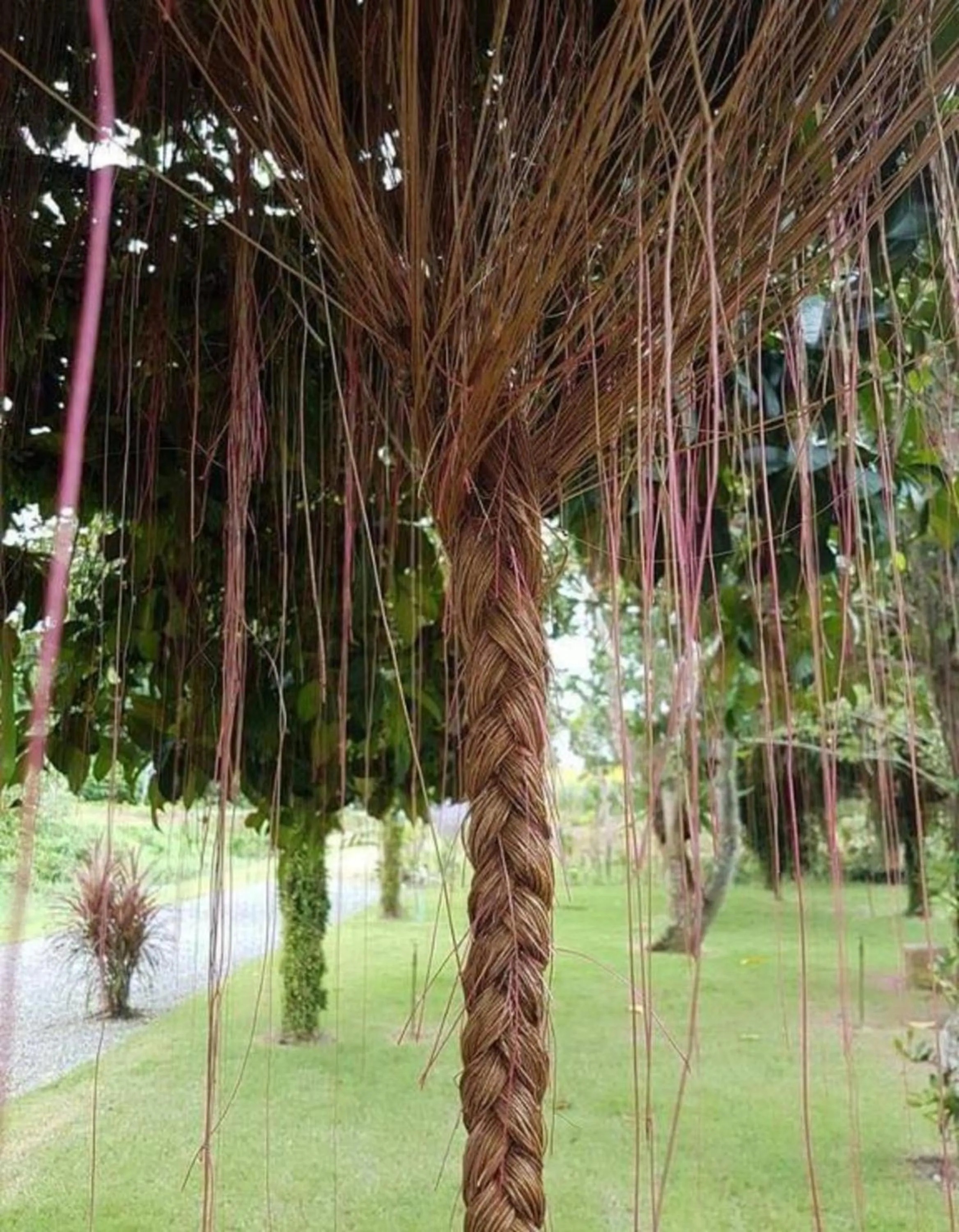 Other in Tho Mai Resort