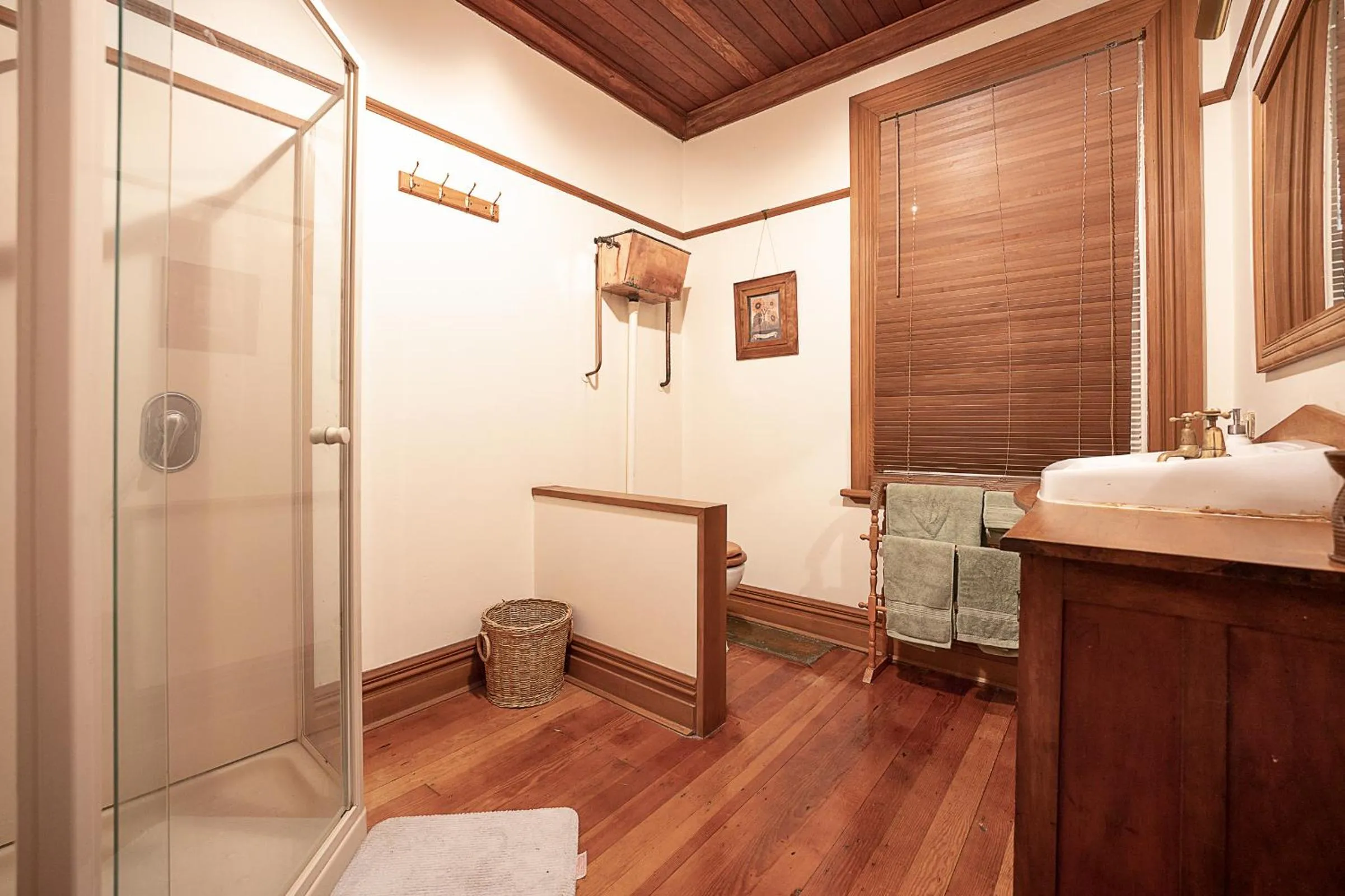 Shower in The Fern & Thistle Luxury Accommodation- Drinks, Hotpool, Sauna