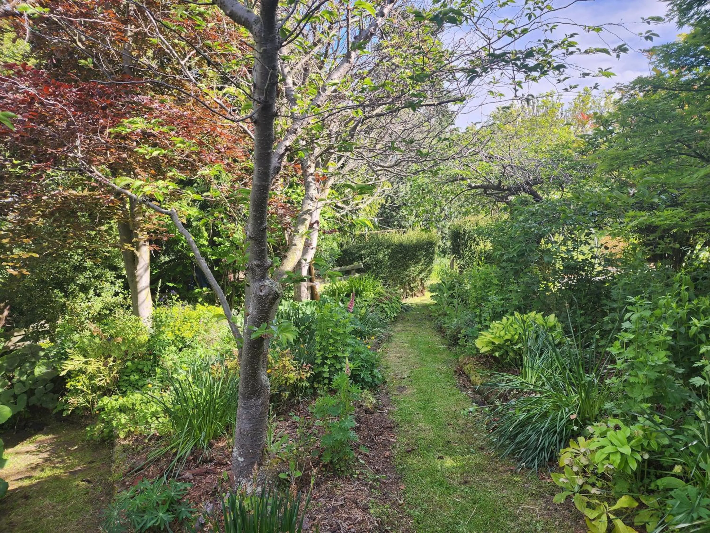 Spring in The Fern & Thistle Luxury Accommodation- Drinks, Hotpool, Sauna