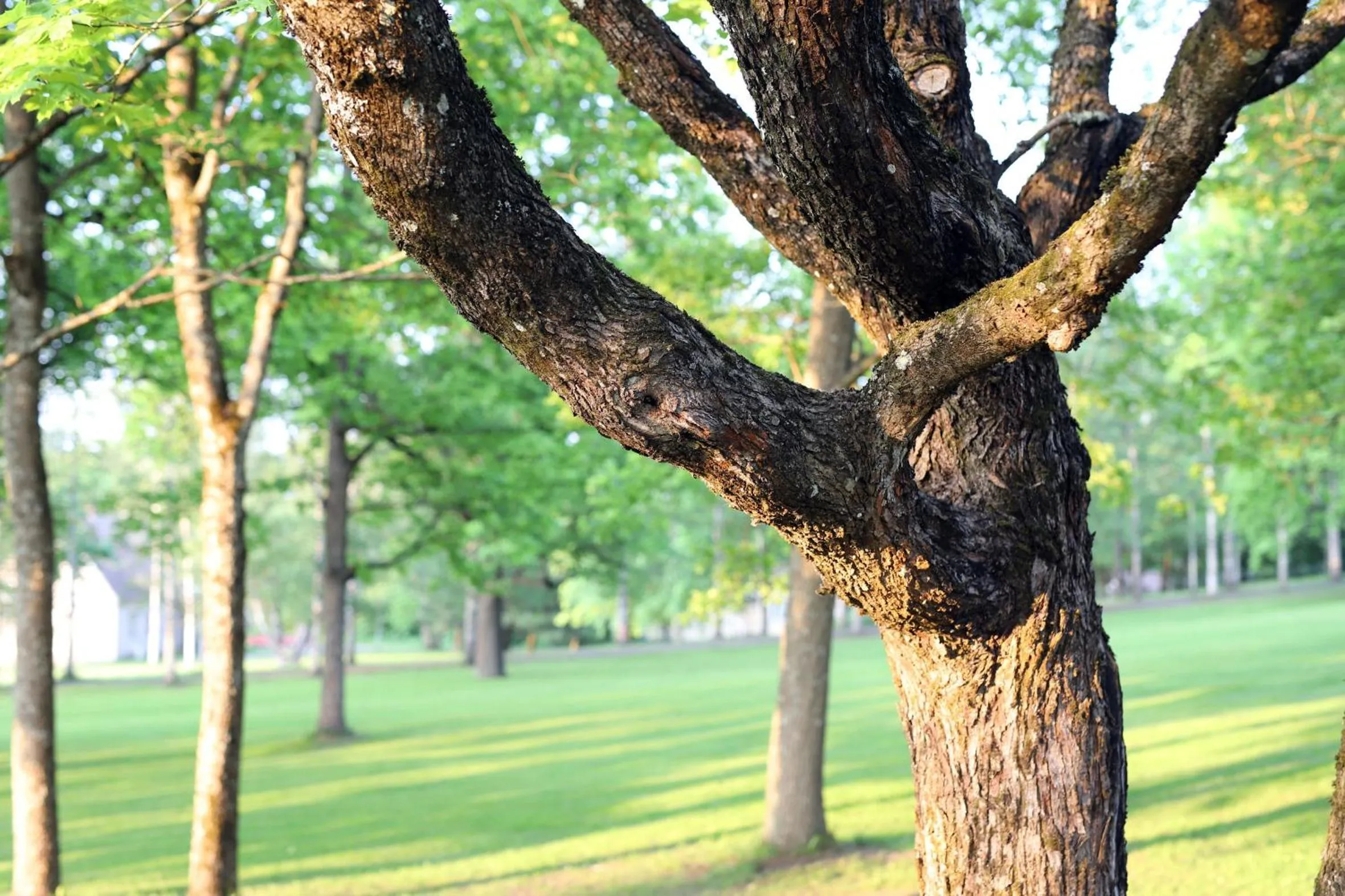 Garden in Tehtaan Hotelli