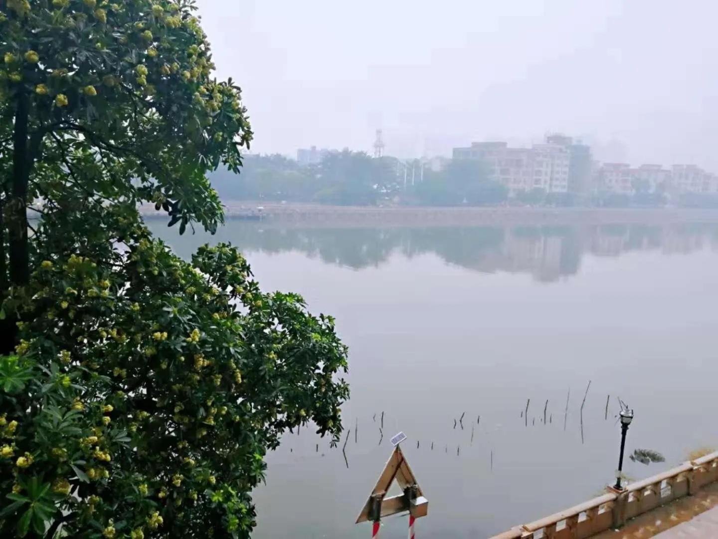 7Days Premium Dongguan Houjie Exhibition Center Shatian Branch