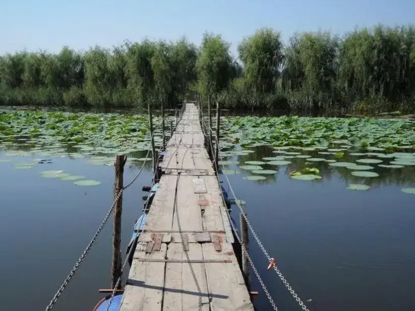 7Days Premium Xiong'an New District Rongcheng Baiyangdian Branch 7Days Premium Xiong'an New District Rongcheng Baiyangdian Branch