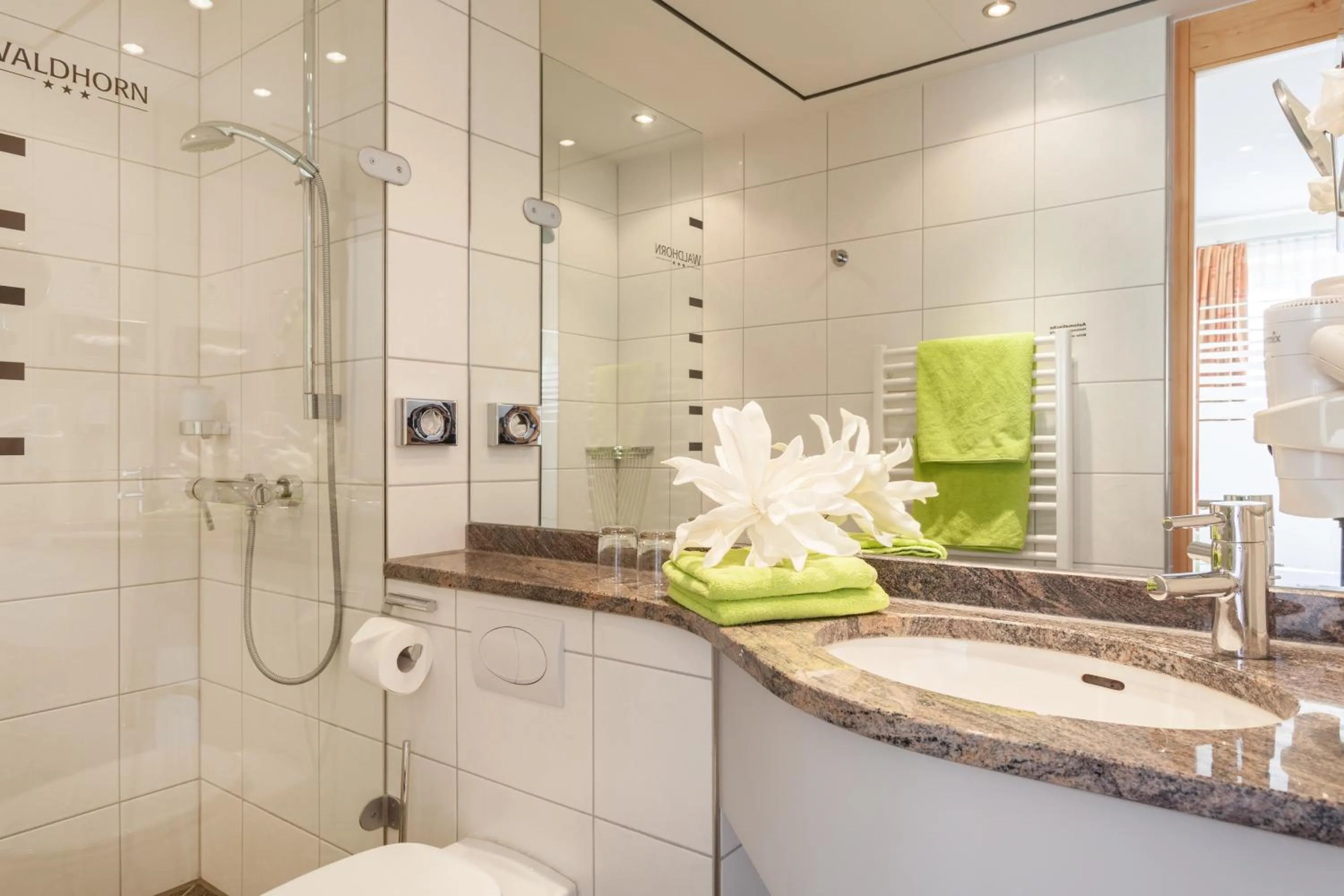 Bathroom in Hotel Waldhorn