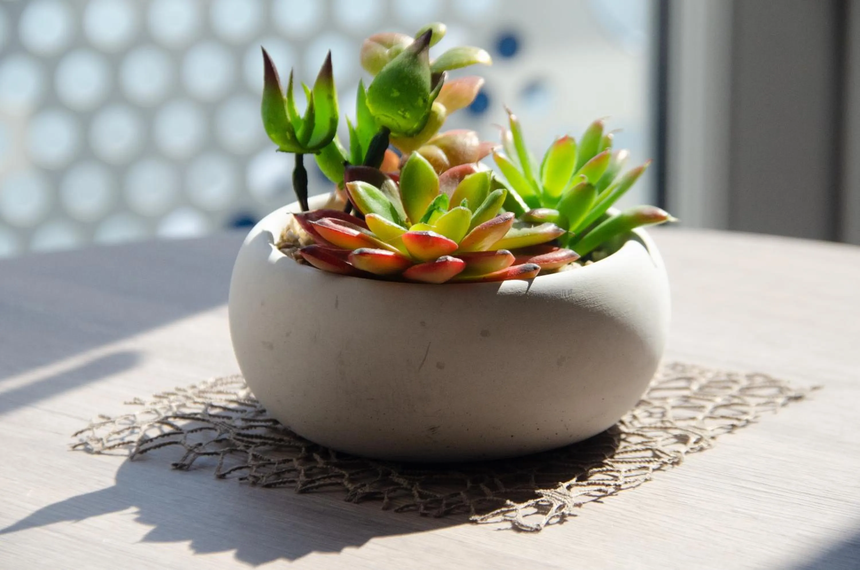 Other in Hotel Morjan