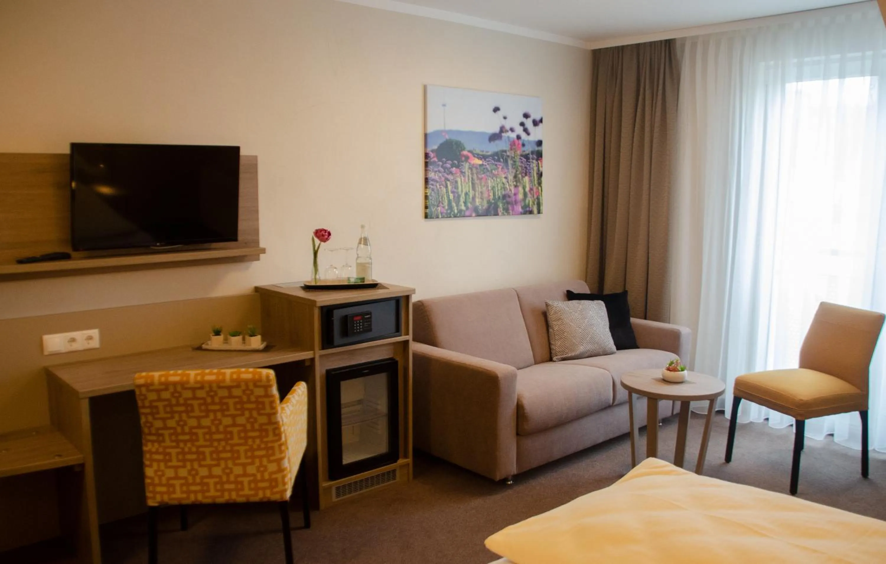 TV and multimedia in Hotel Morjan