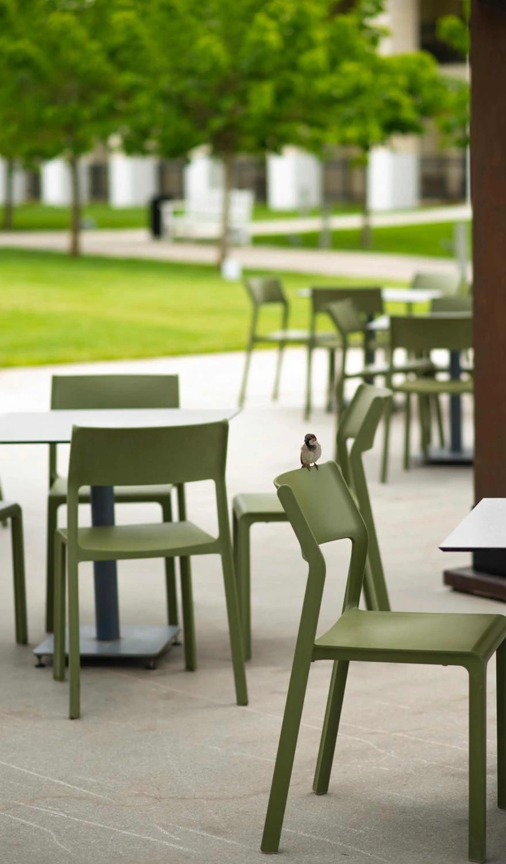 Property building in Rixos Water World Aktau - Theme Park Free Access