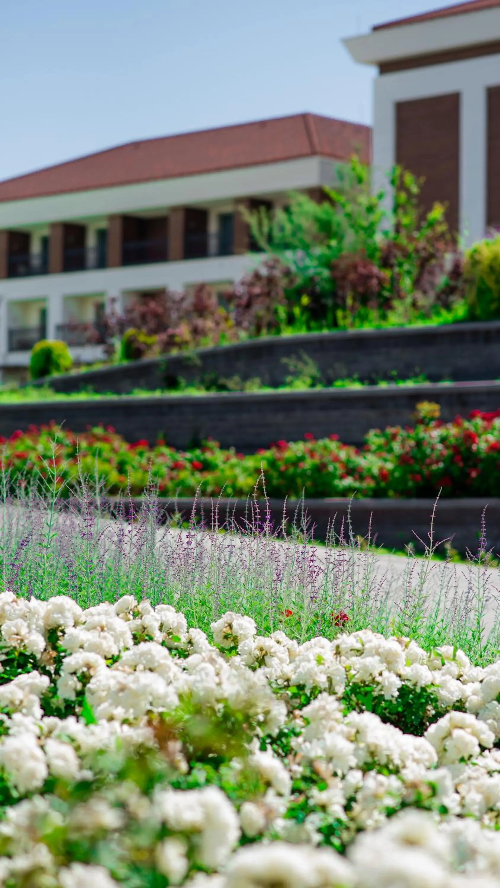 Property building in Rixos Water World Aktau - Theme Park Free Access