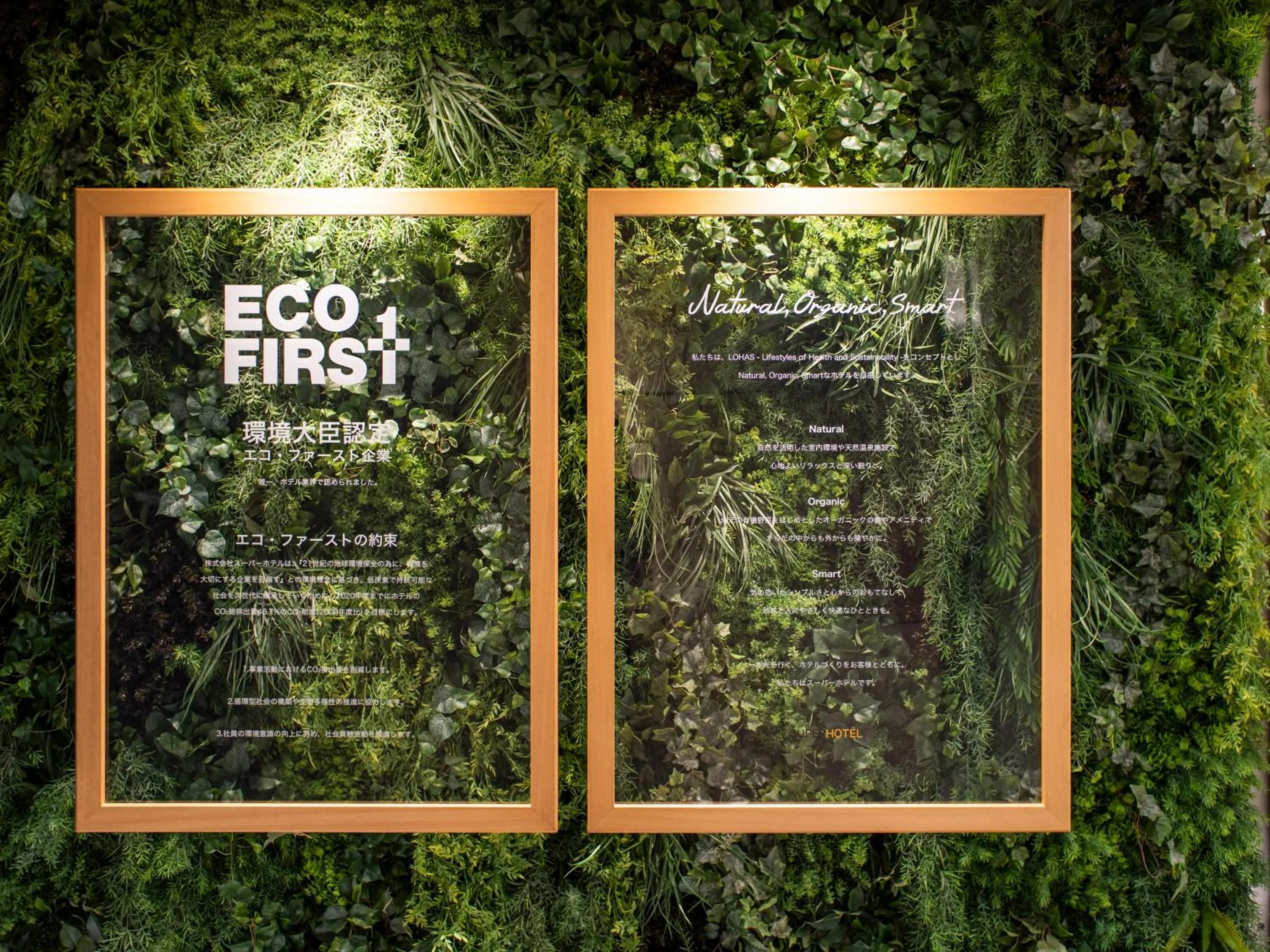 Other in Super Hotel Beppu Ekimae