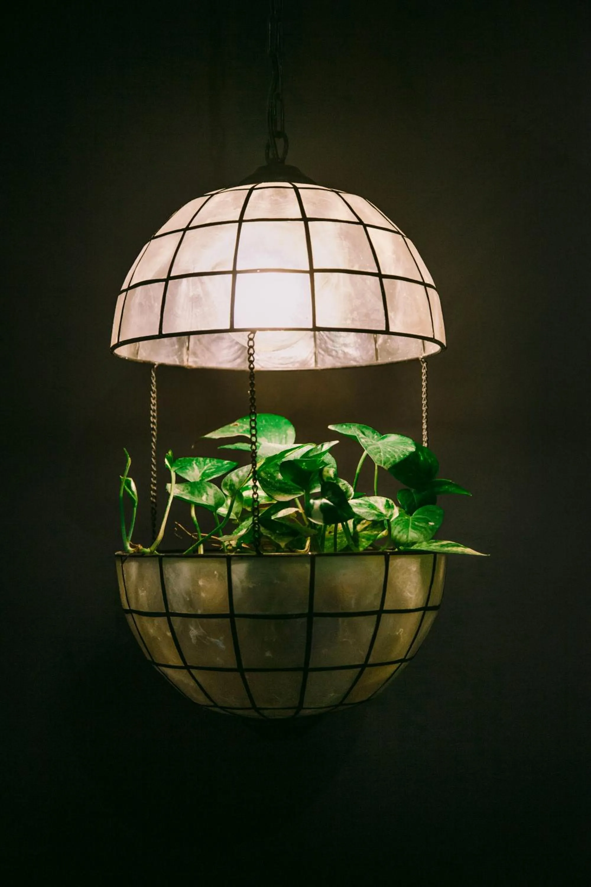 Decorative detail in SANSE Boutique Hotel