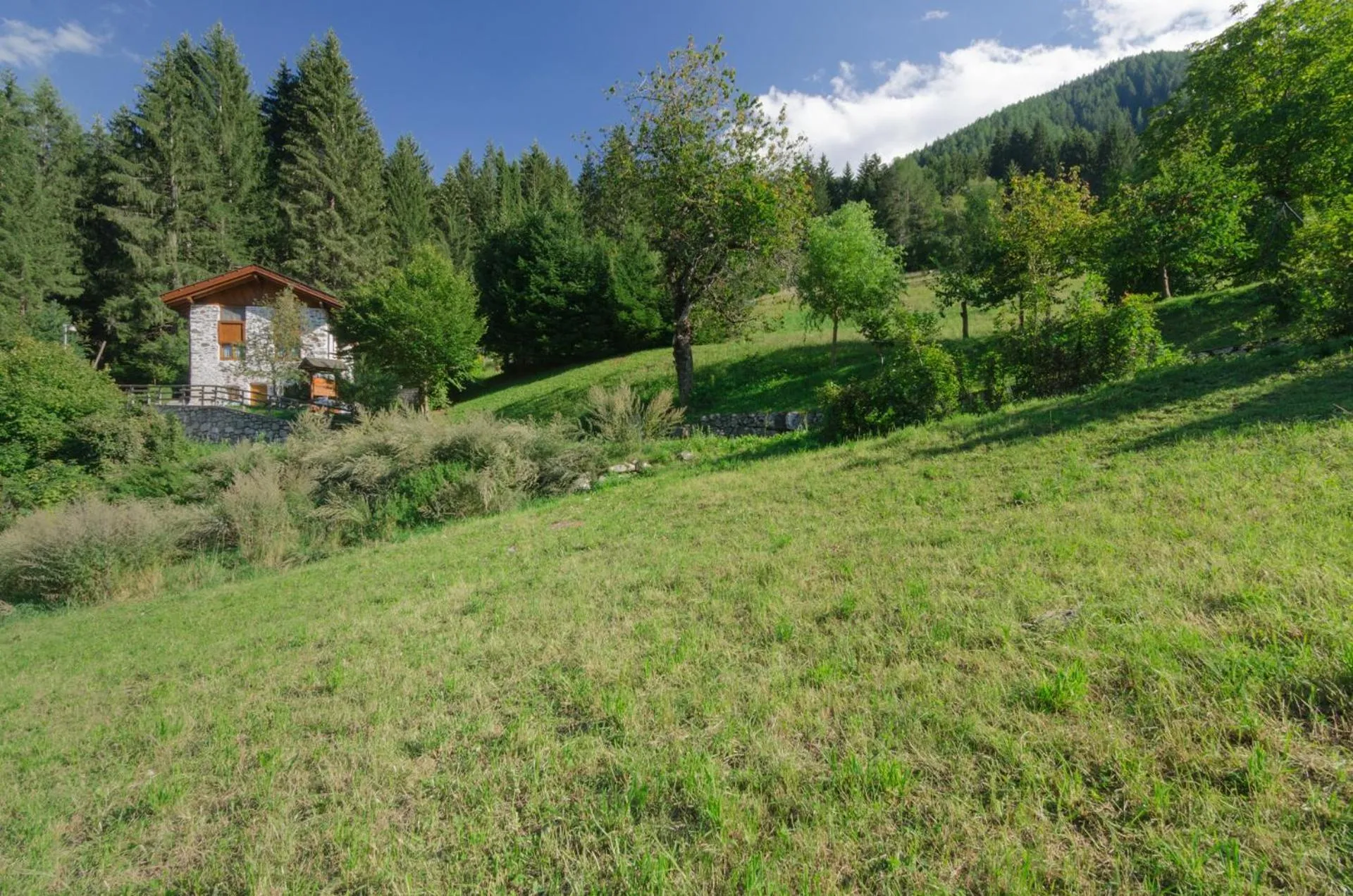 Property building in Maso Noce