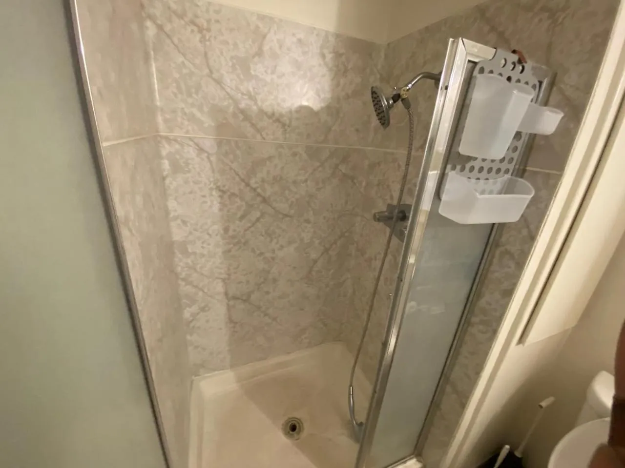 WHOLE Family - Rosemont