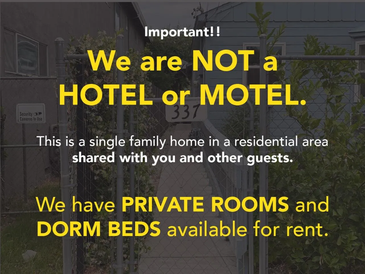 WHOLE Family - Barrette